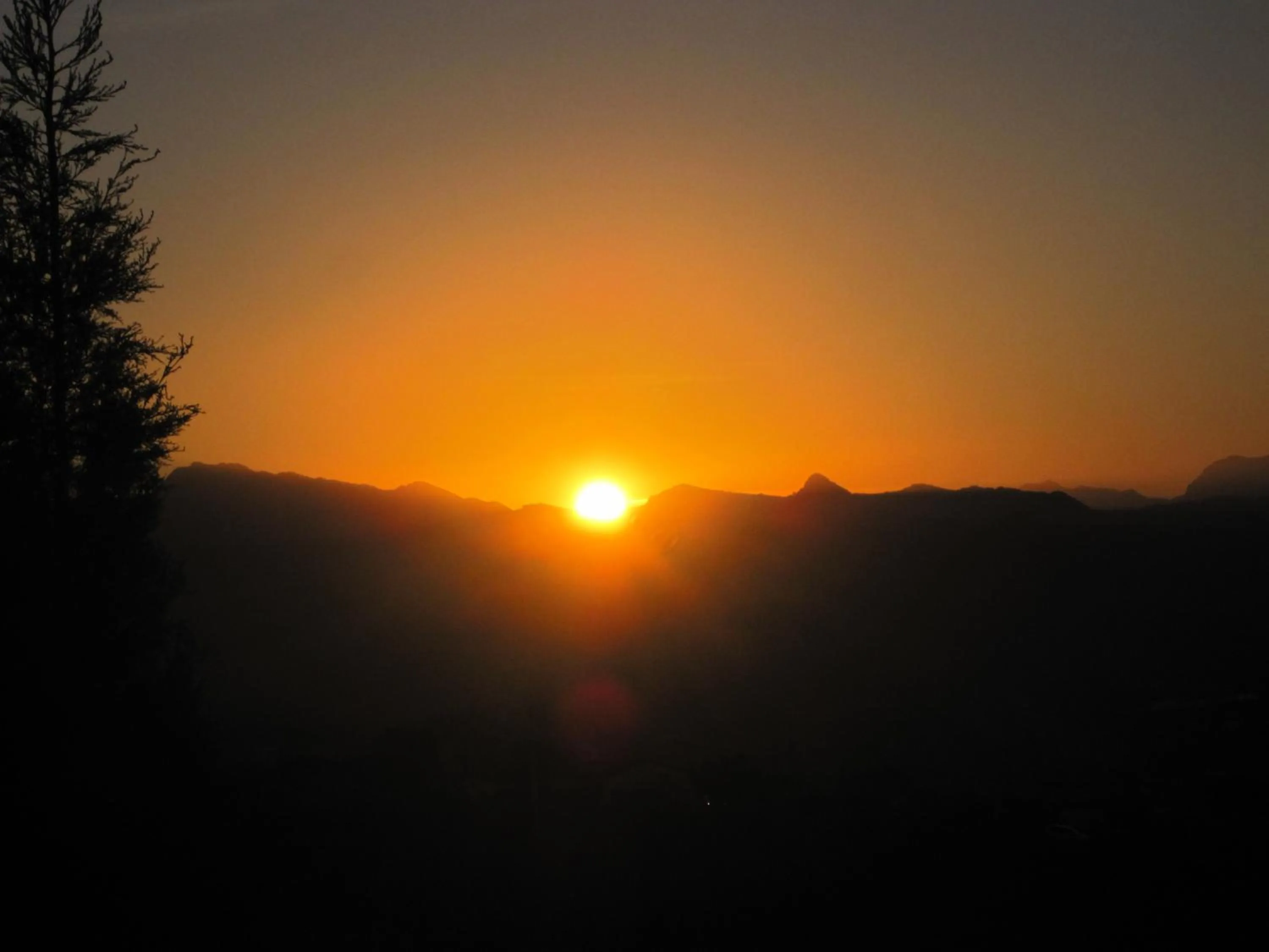 View (from property/room) in Arriadh Hotel