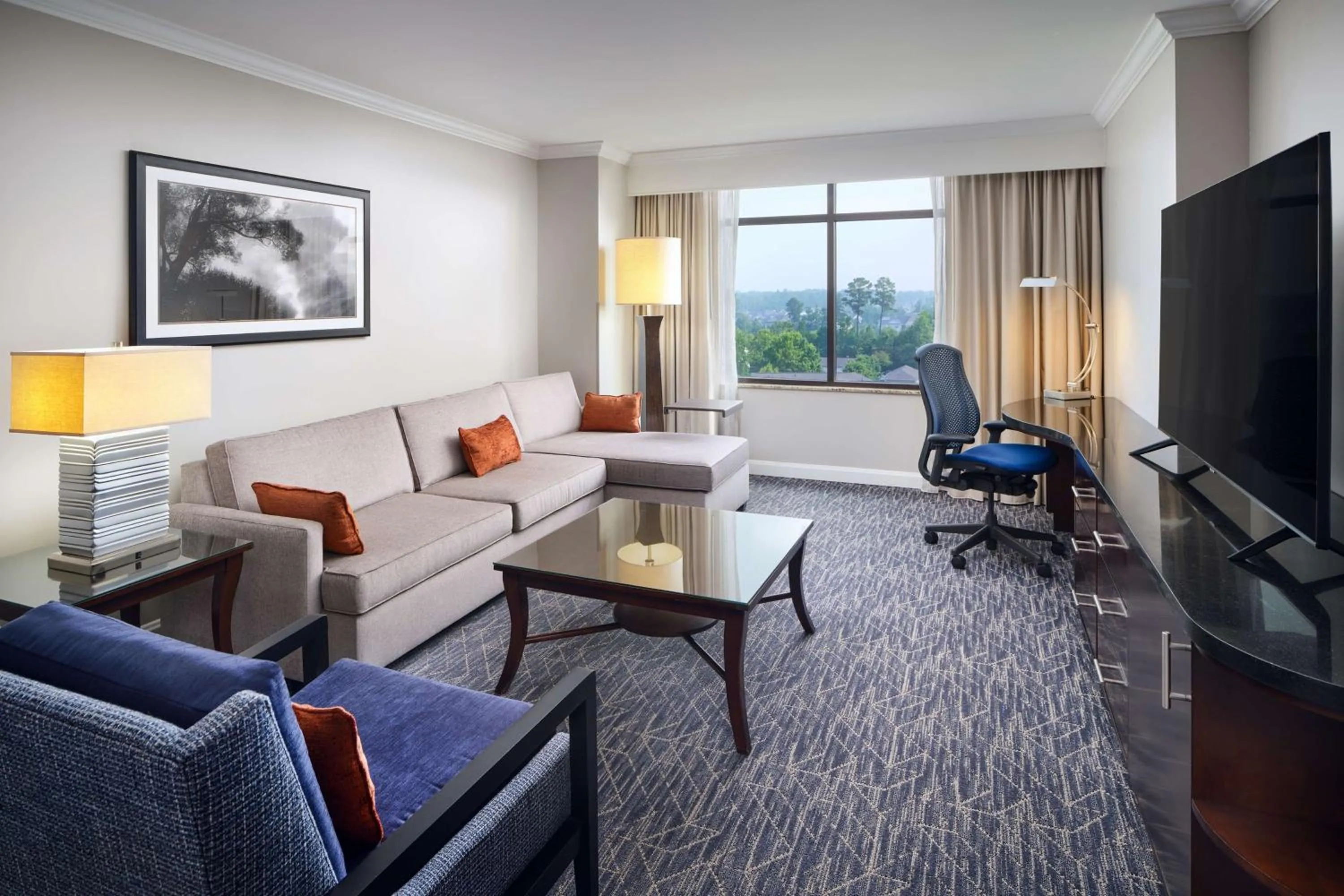 TV and multimedia in Hilton Richmond Hotel & Spa Short Pump