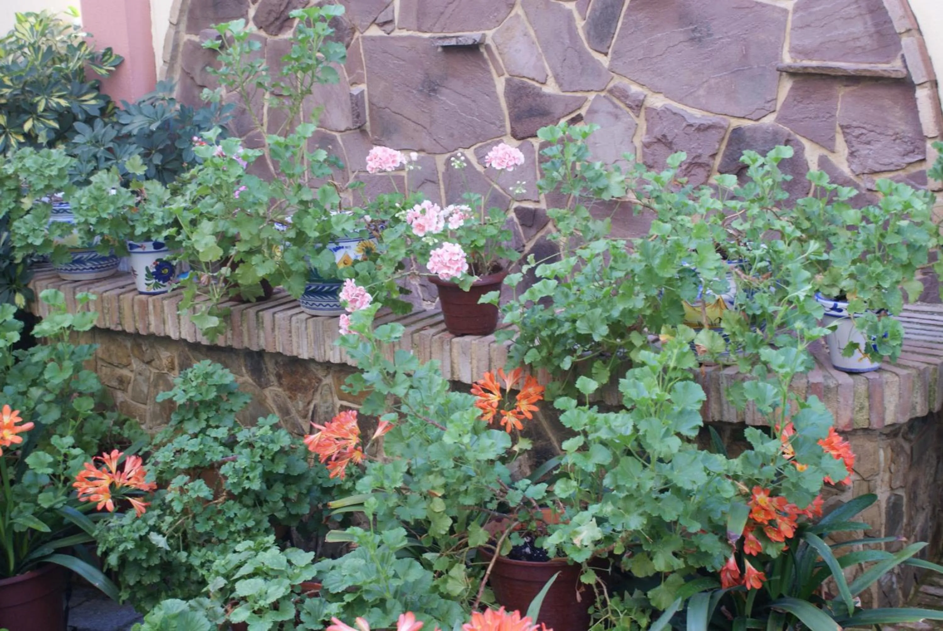 Spring in Maximiano Herculeo