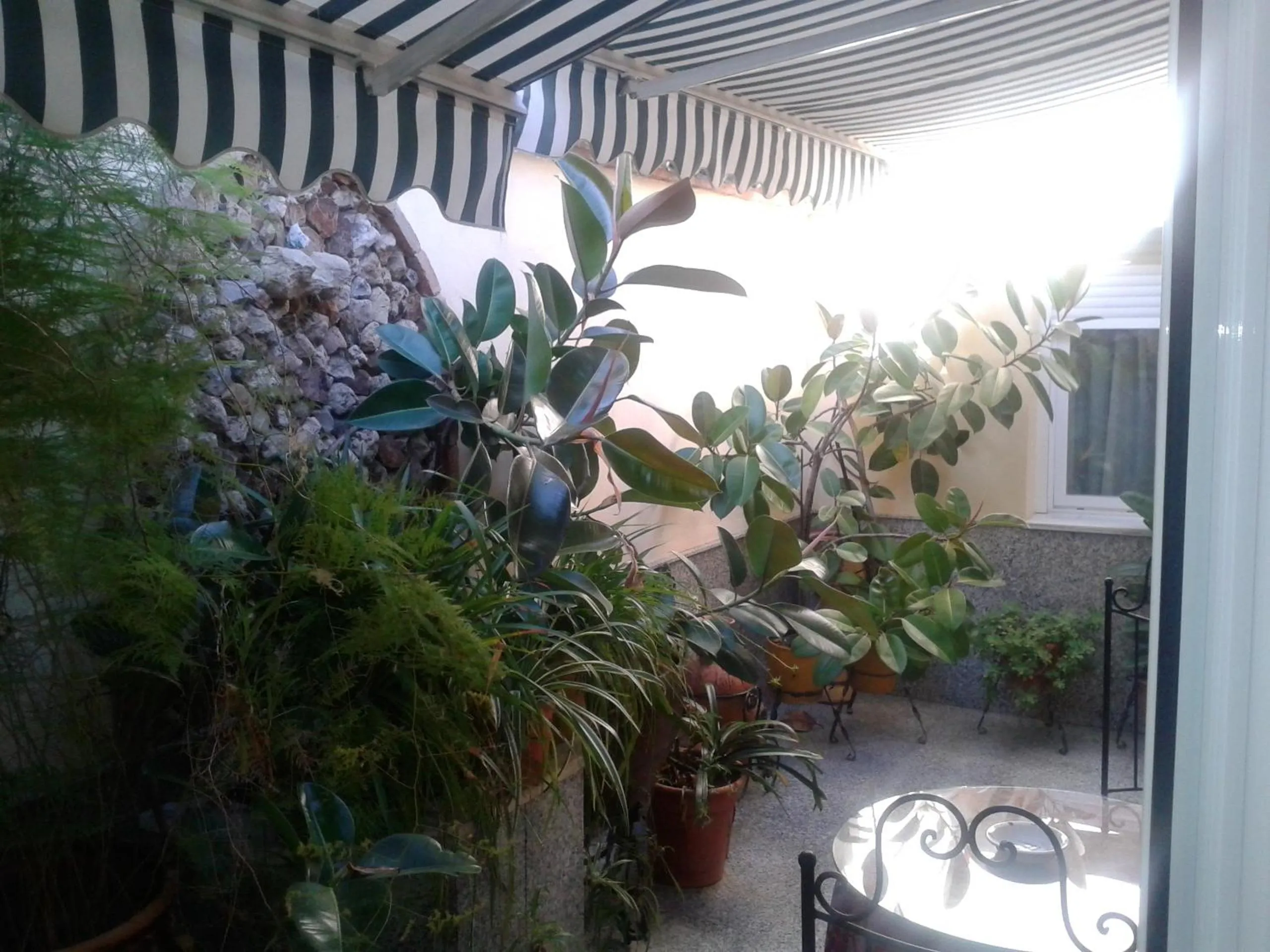 Day in Maximiano Herculeo