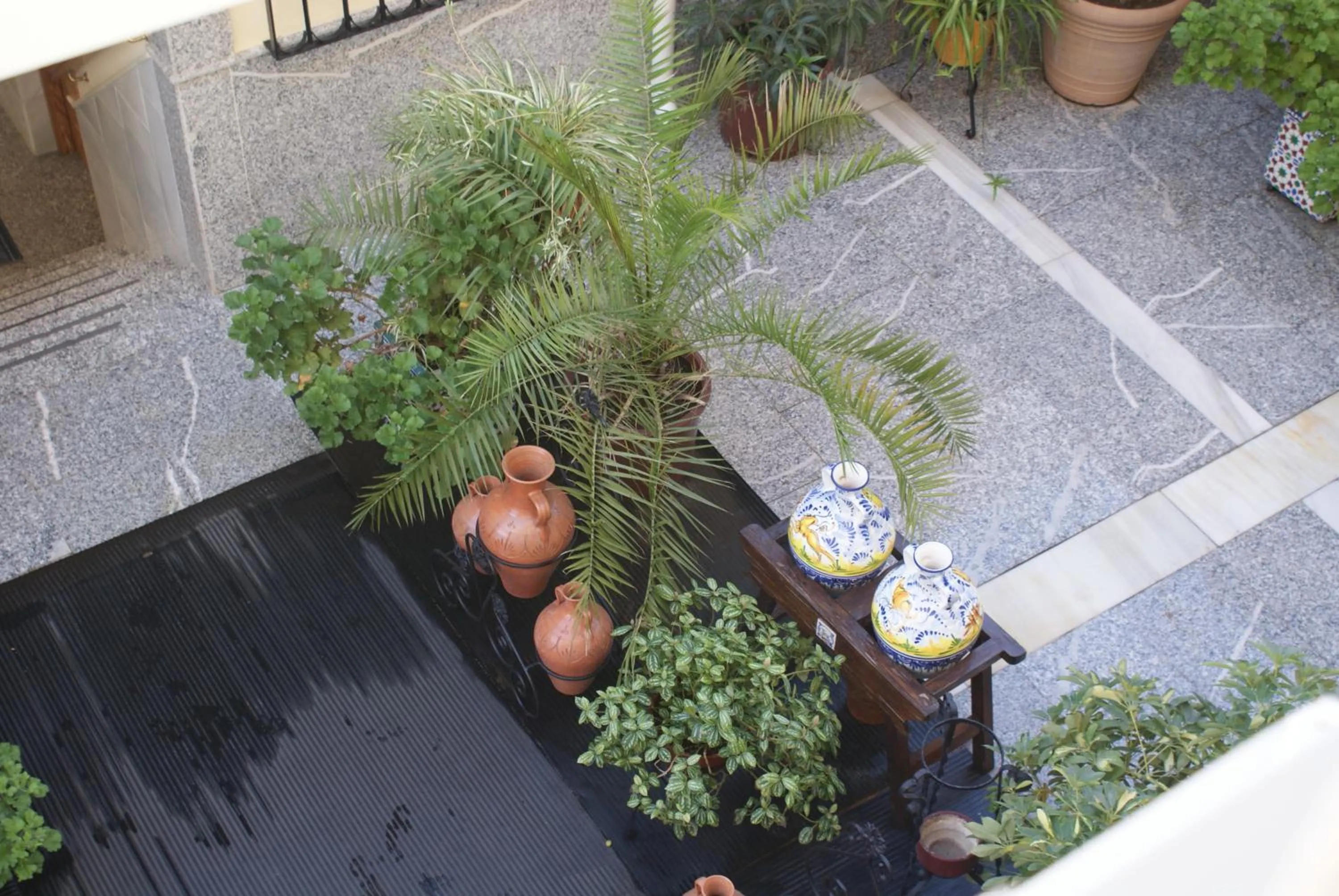 Decorative detail in Maximiano Herculeo