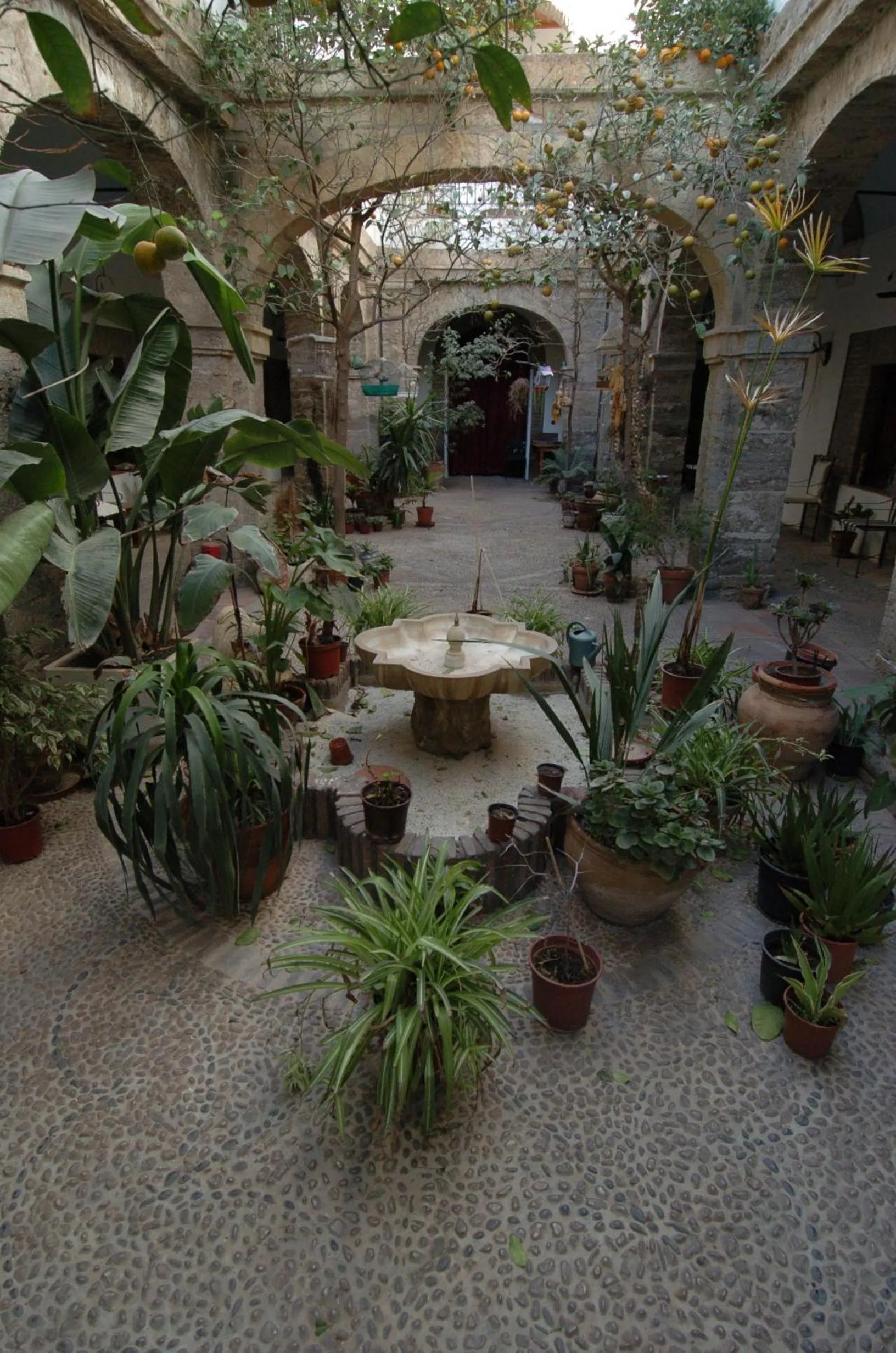 Other in Hotel Balneario Sierra Alhamilla