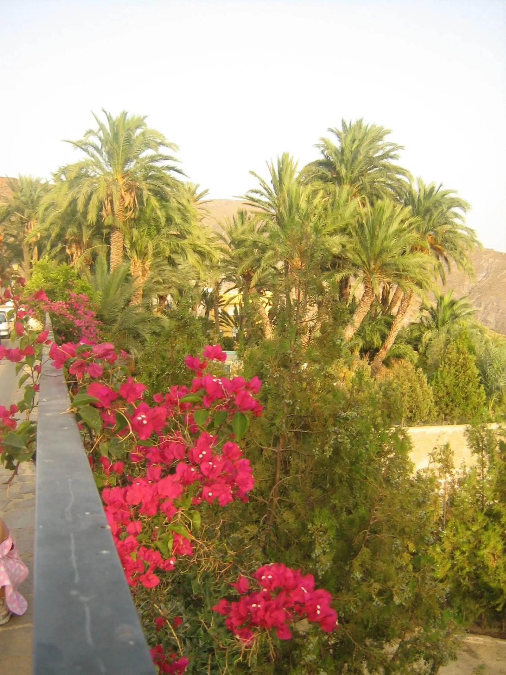 Garden in Hotel Balneario Sierra Alhamilla