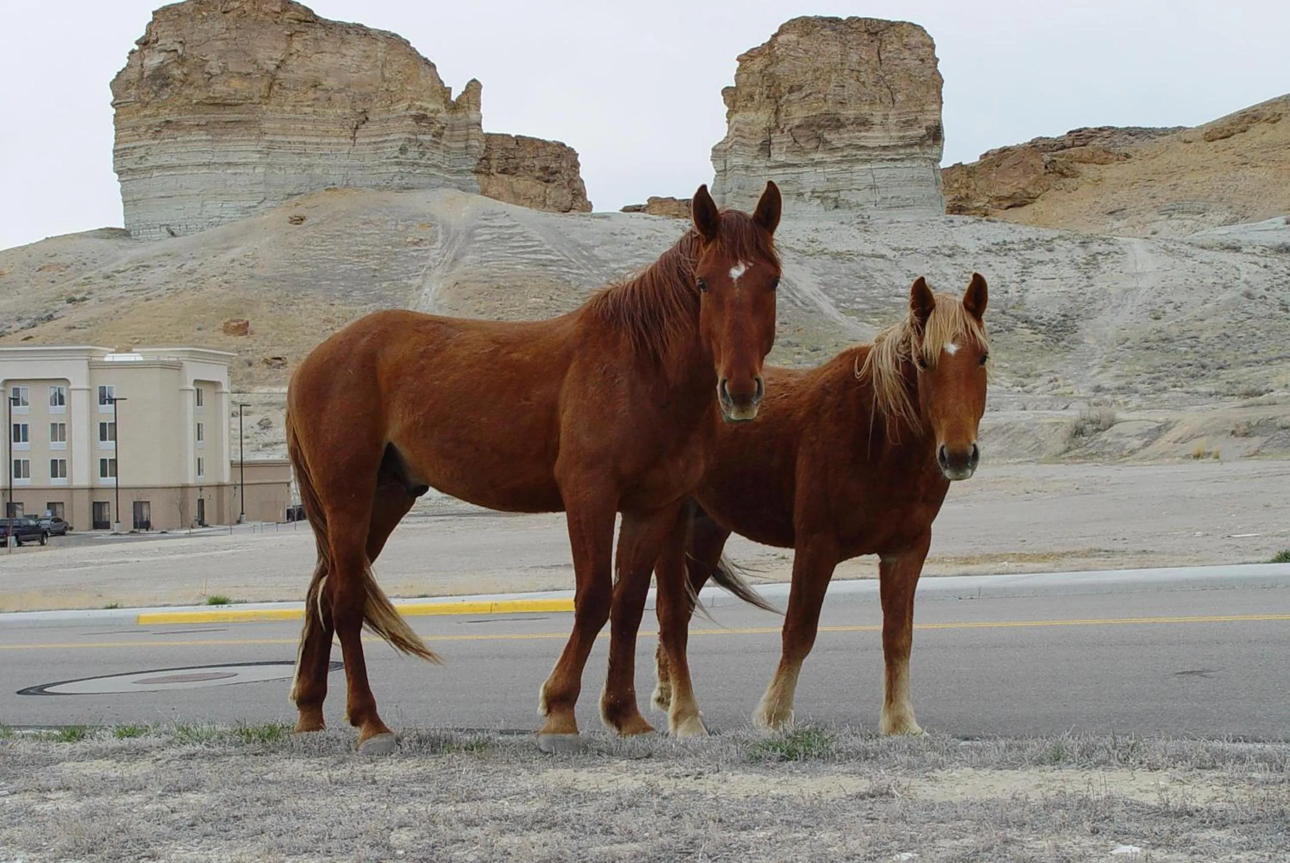 Hampton Inn & Suites Green River