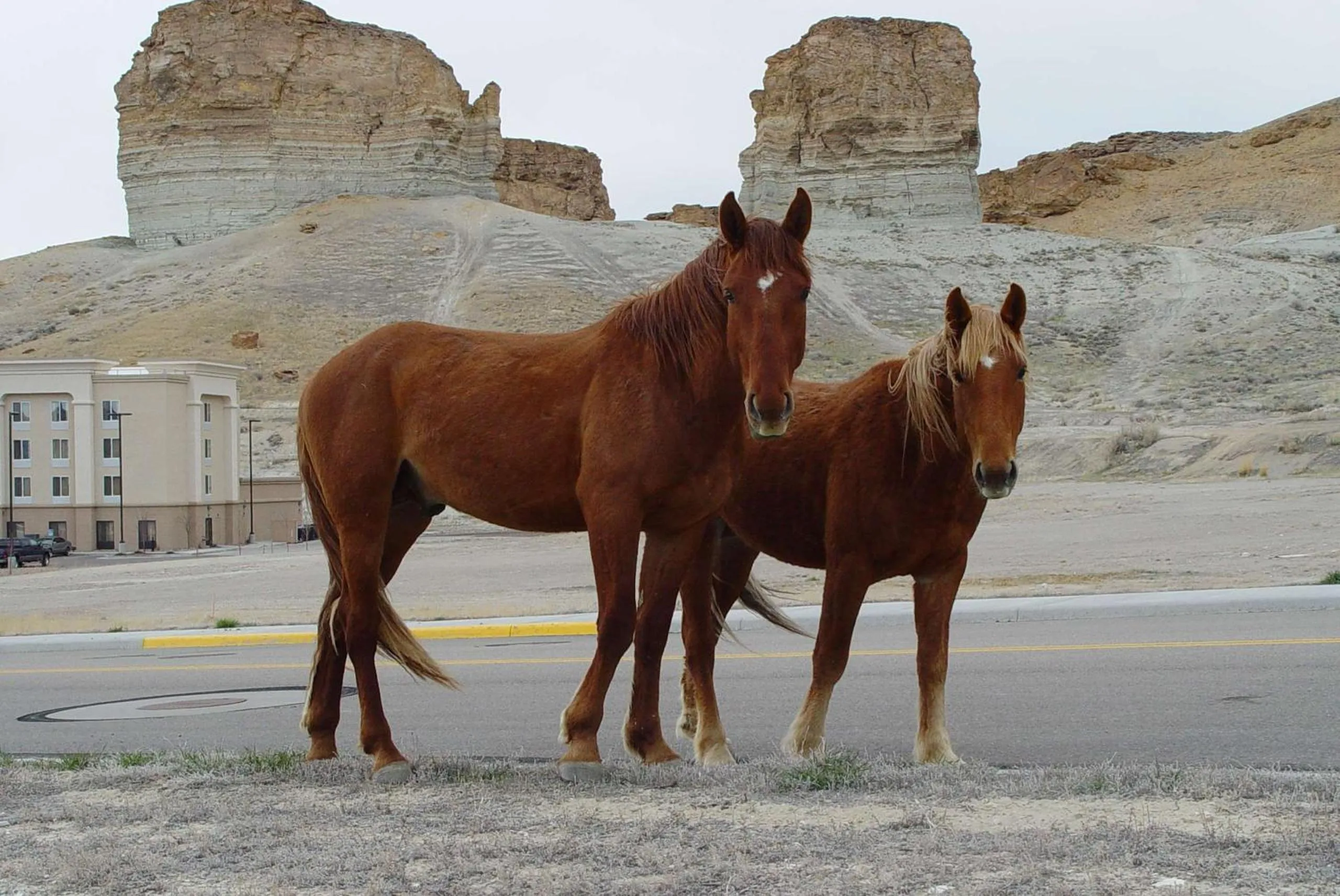 Property building in Hampton Inn & Suites Green River