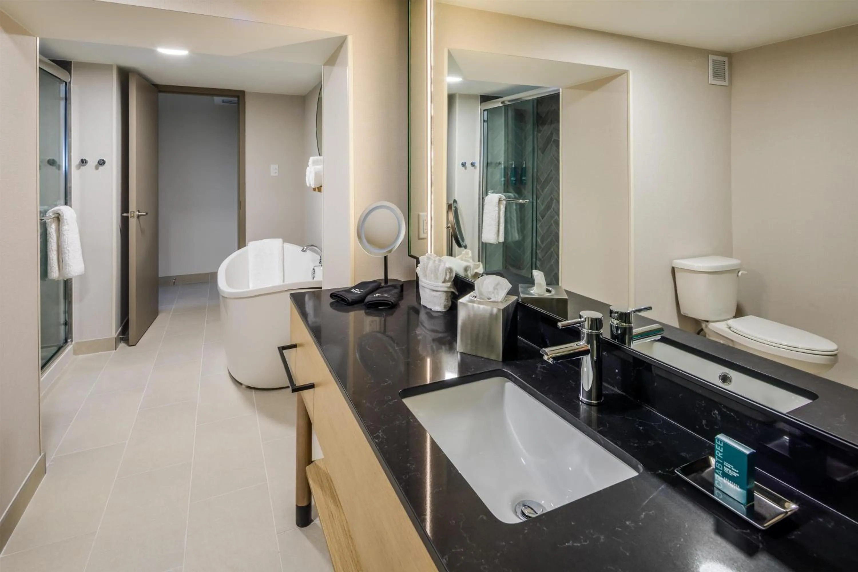 Bathroom in DoubleTree by Hilton Laredo