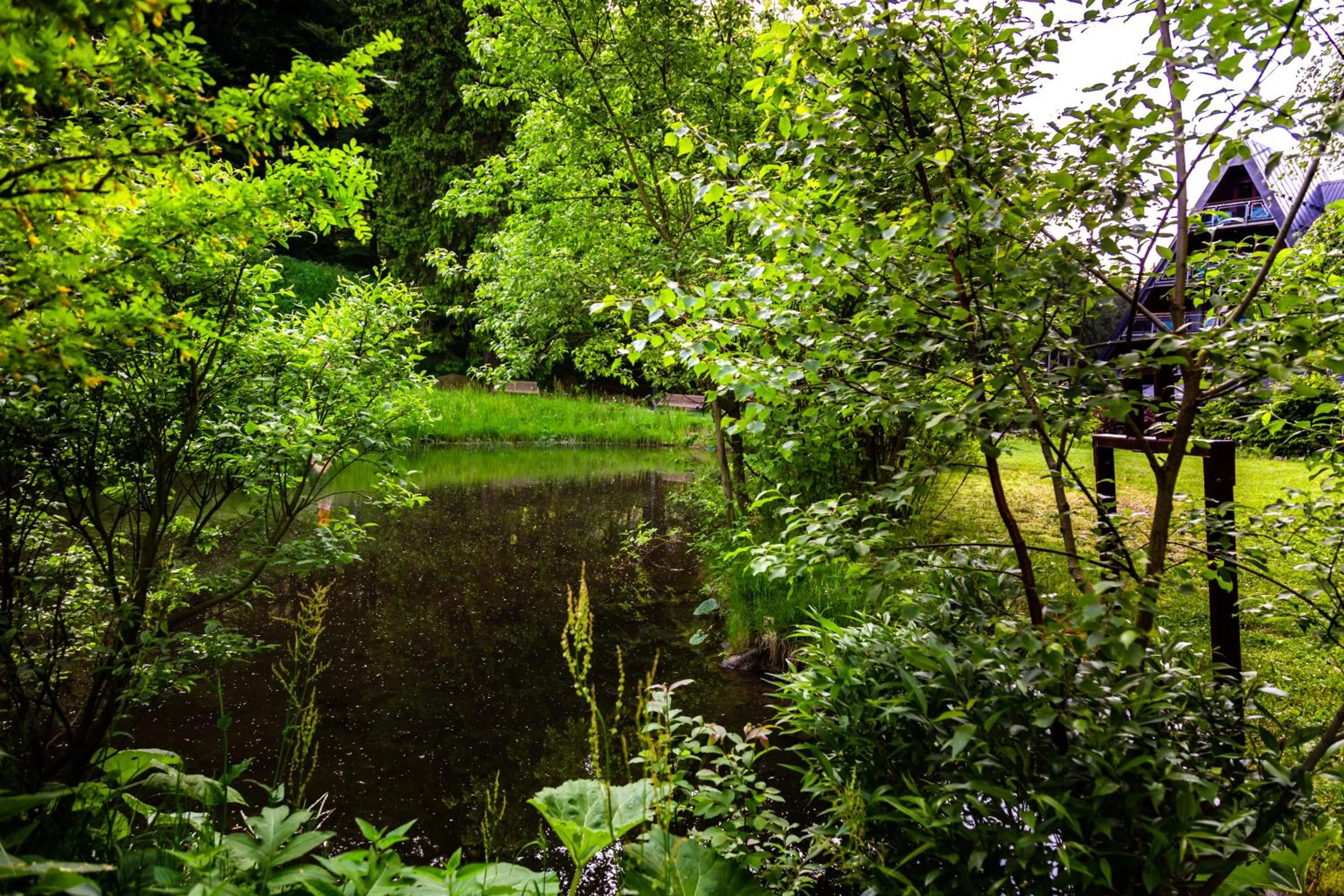 Jelenia Struga MEDICAL SPA