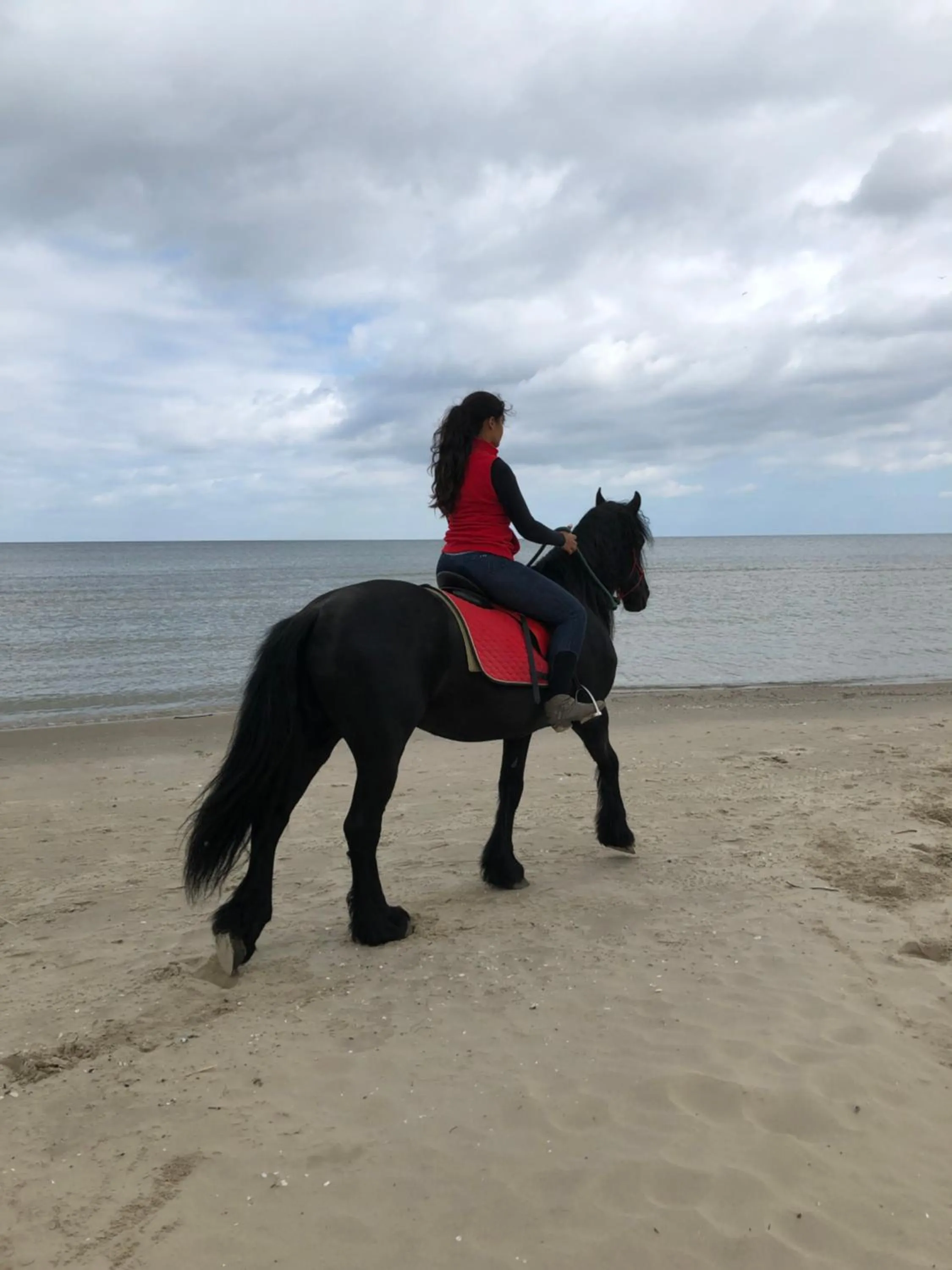 Horse-riding in Feniks Agro&Spa Adults Only