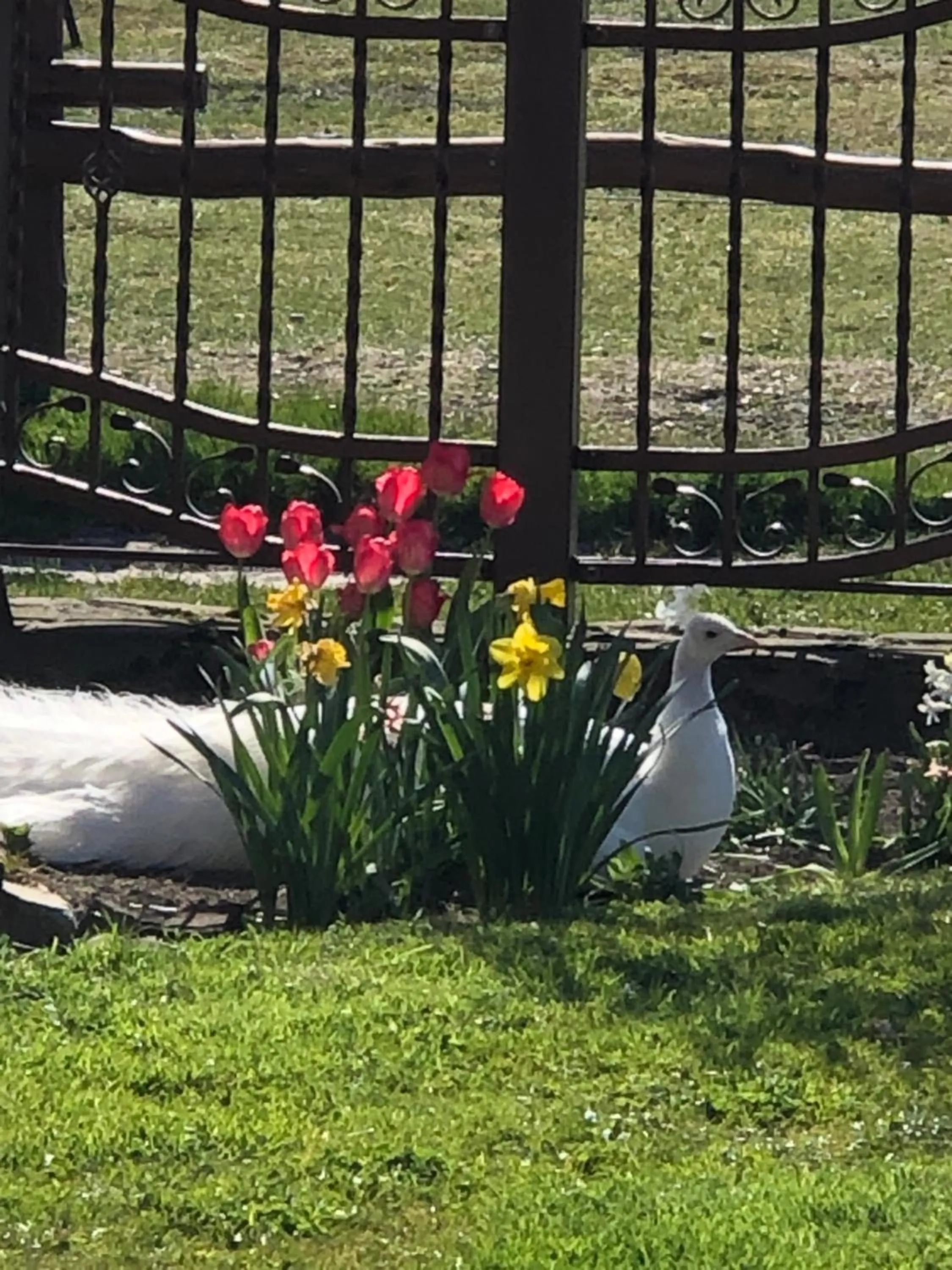 Garden in Feniks Agro&Spa Adults Only