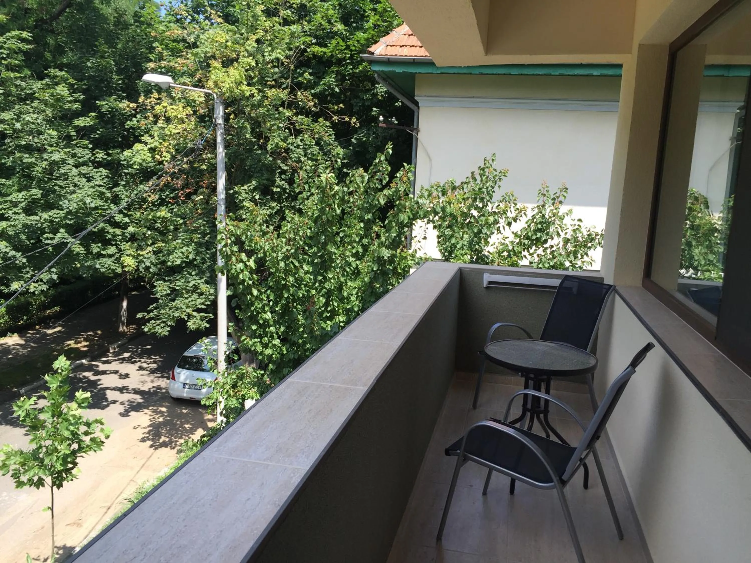 Decorative detail in Paradox Oituz