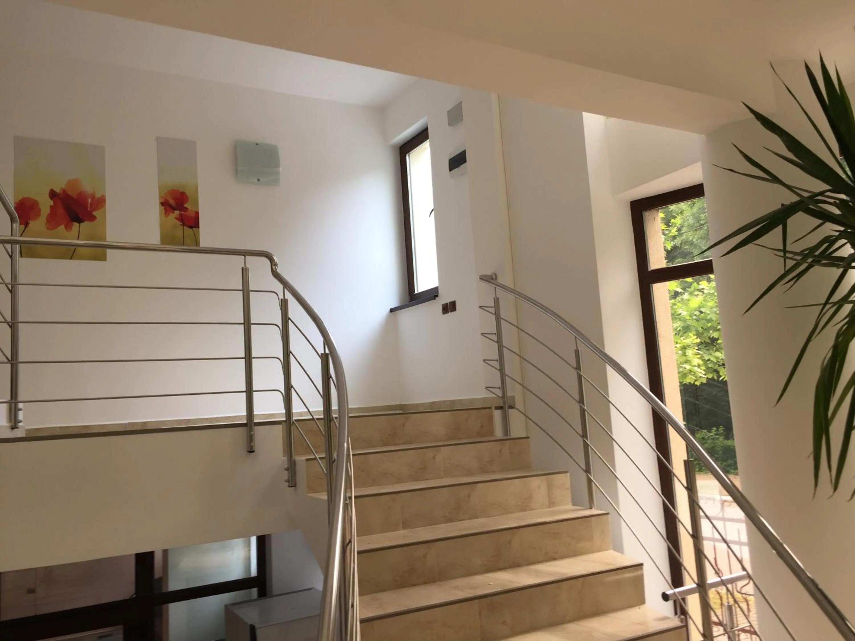 Floor plan in Paradox Oituz