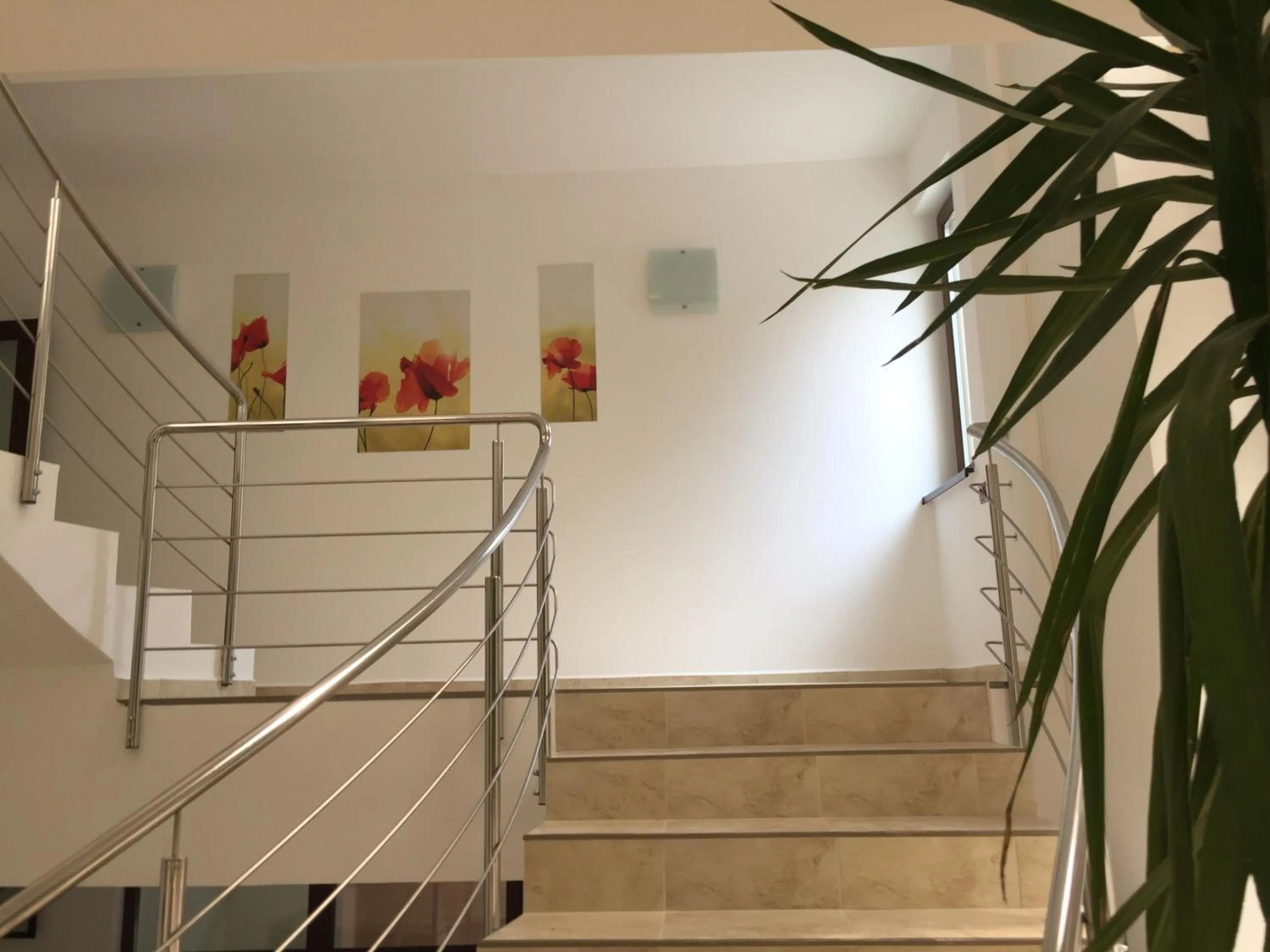 Area and facilities in Paradox Oituz