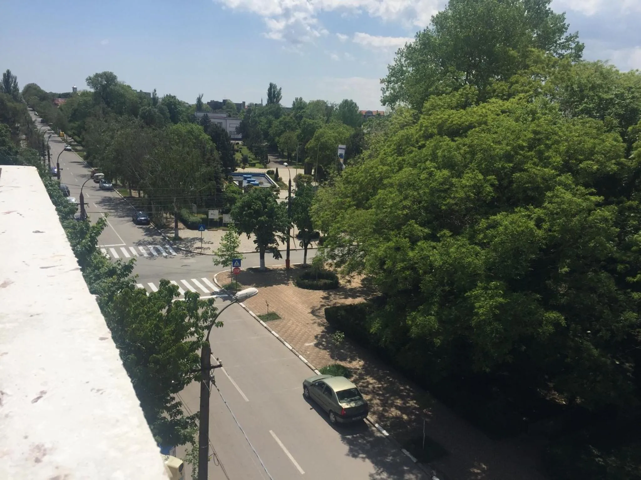 Other in Paradox Oituz