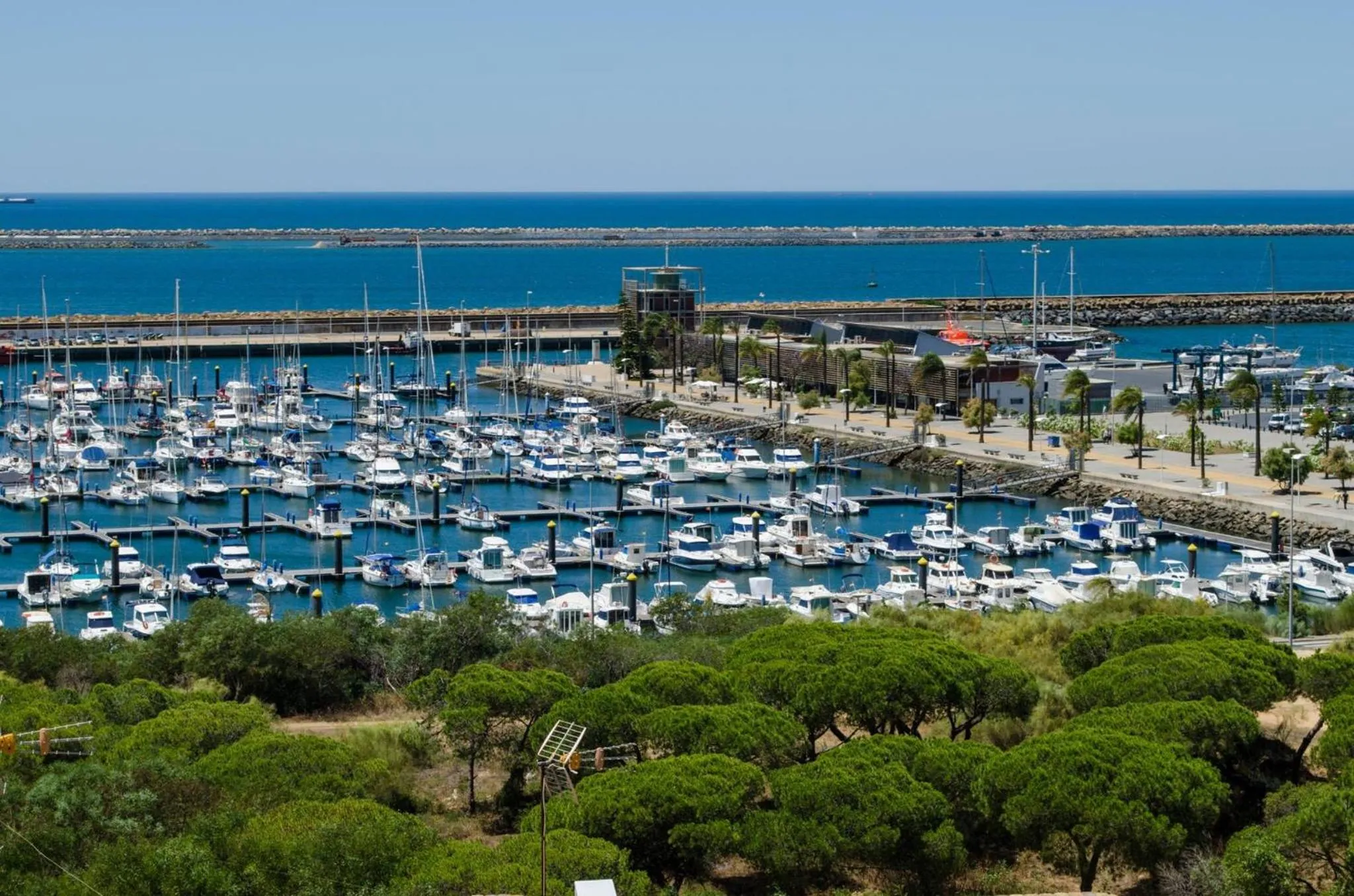 Natural landscape in Hotel Apartamento Martín Alonso Pinzón