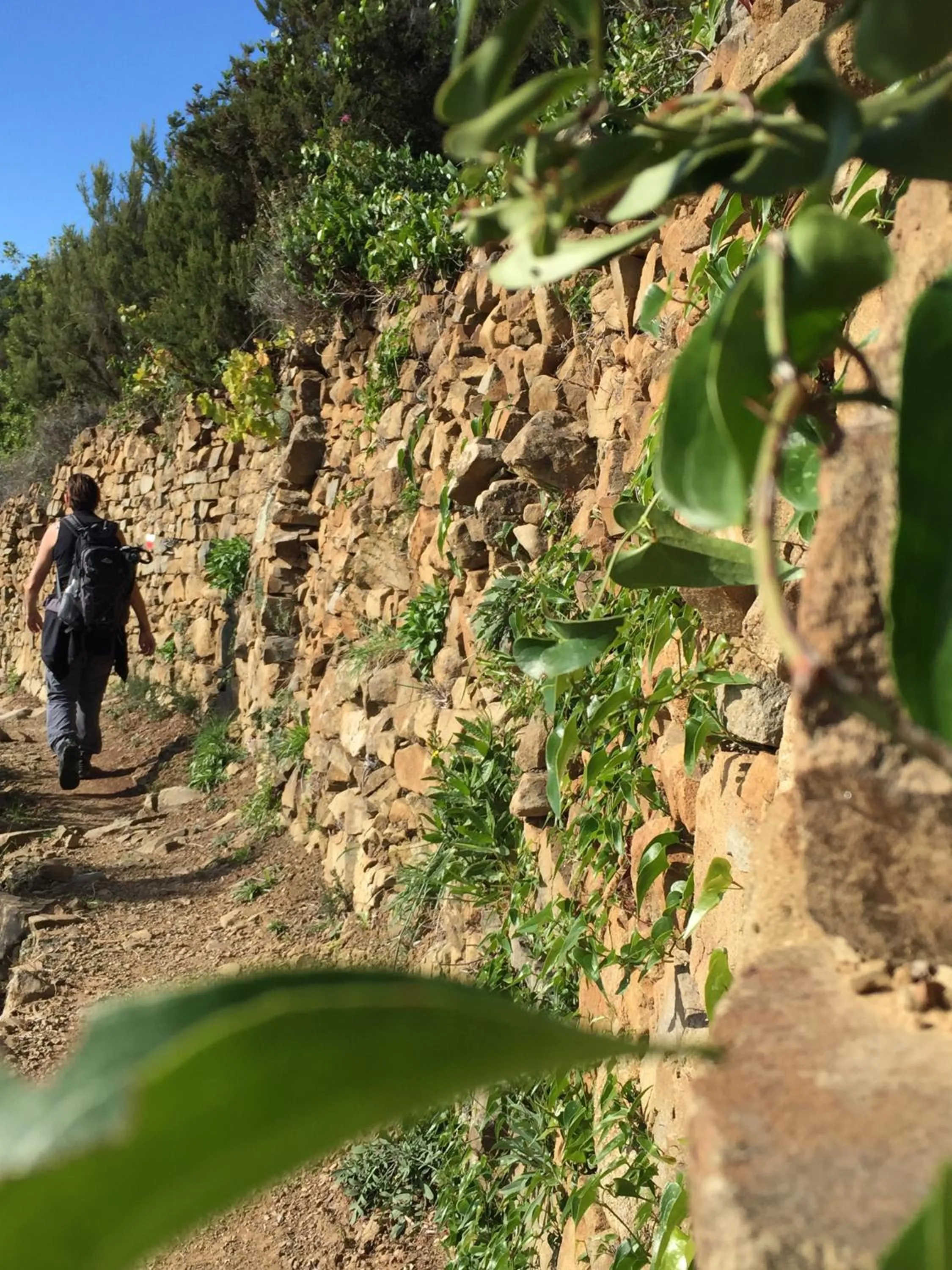 Hiking in Hotel Villa Edera & La Torretta