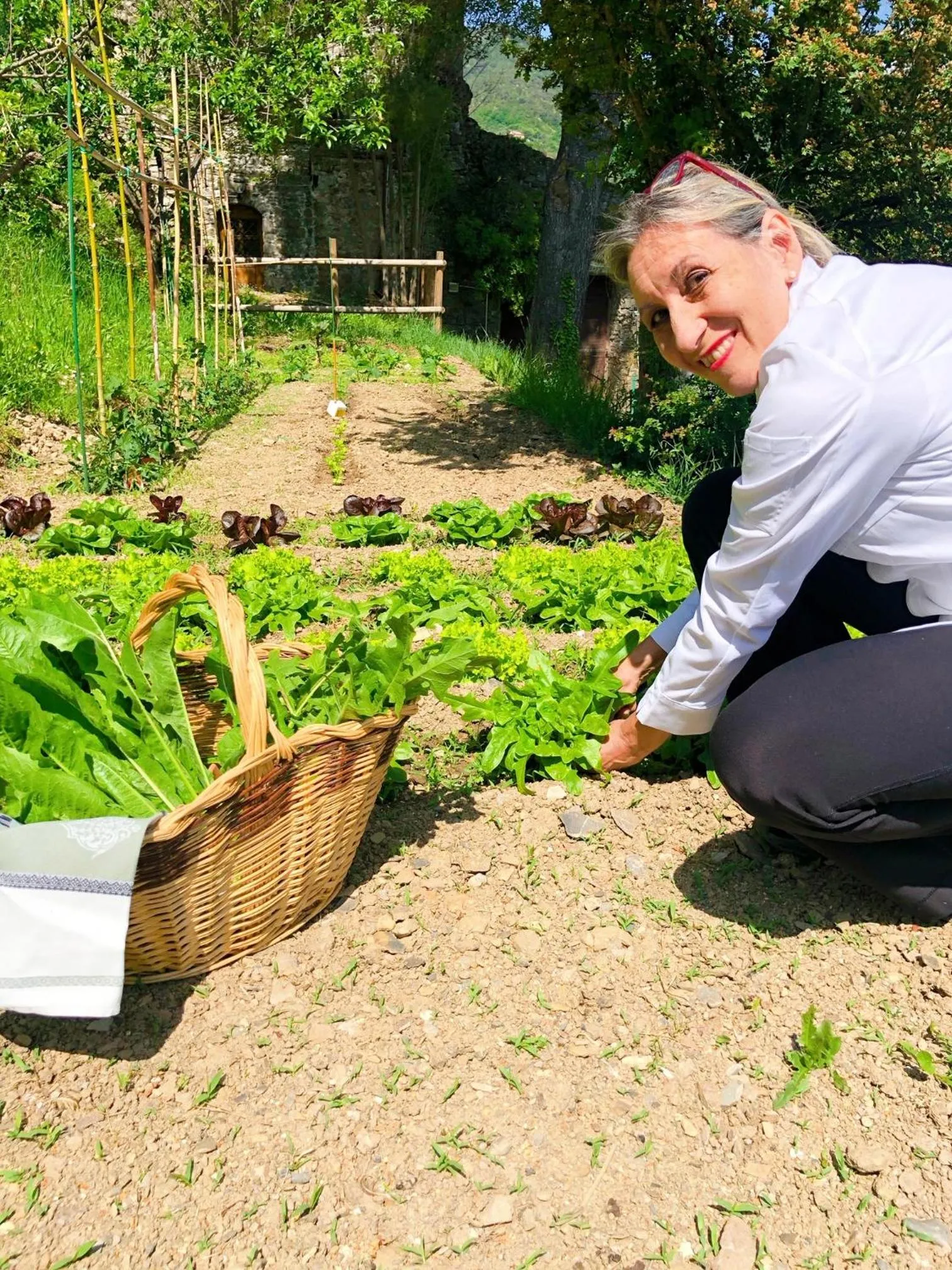 Garden in Hotel Villa Edera & La Torretta