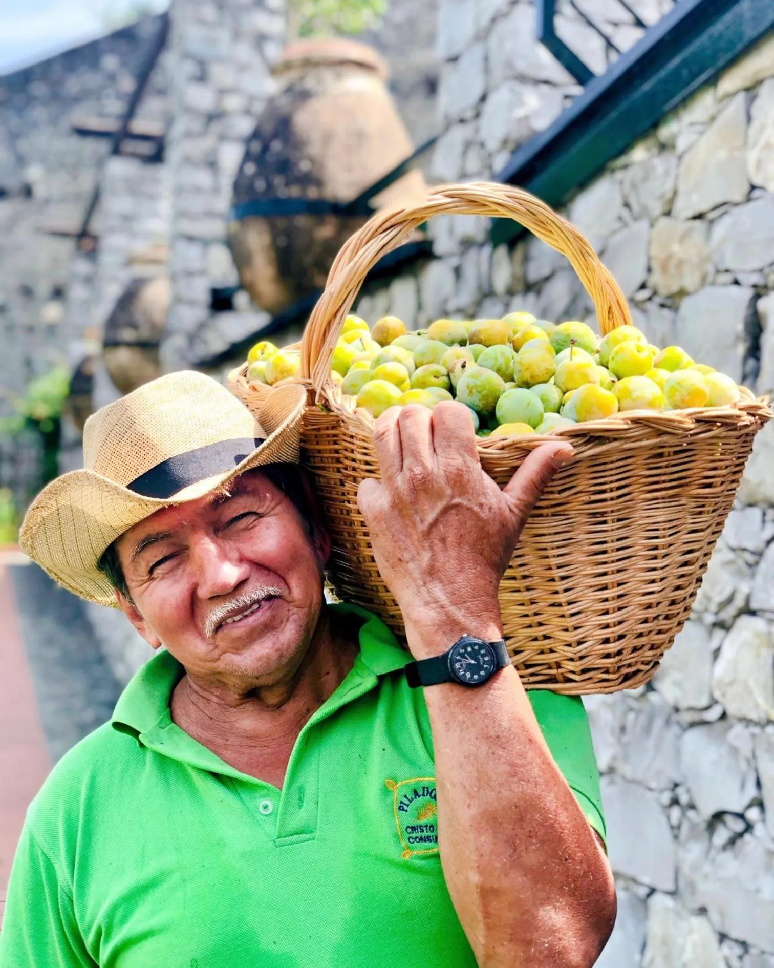 Garden in Hotel Villa Edera & La Torretta