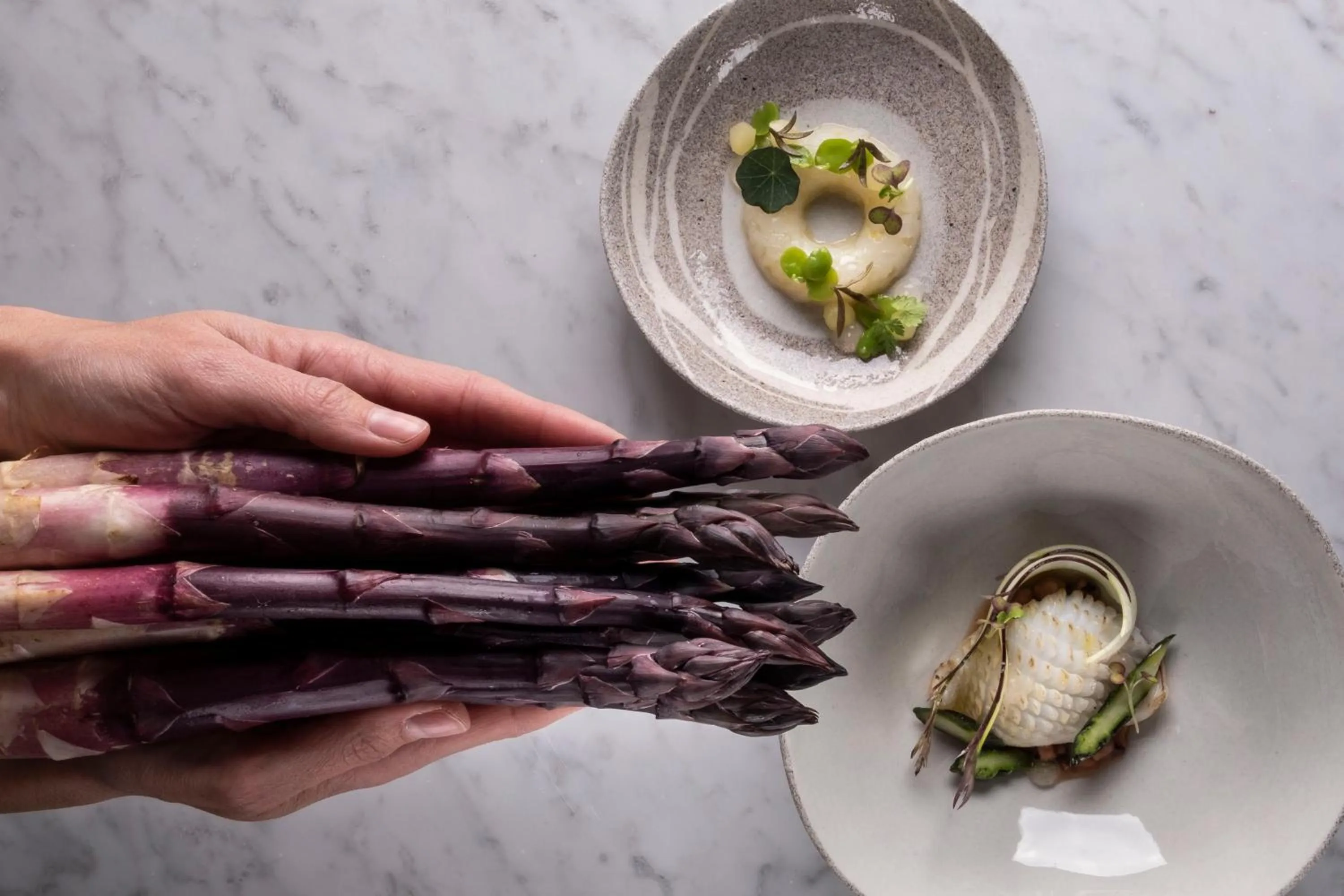 Dinner in Hotel Villa Edera & La Torretta