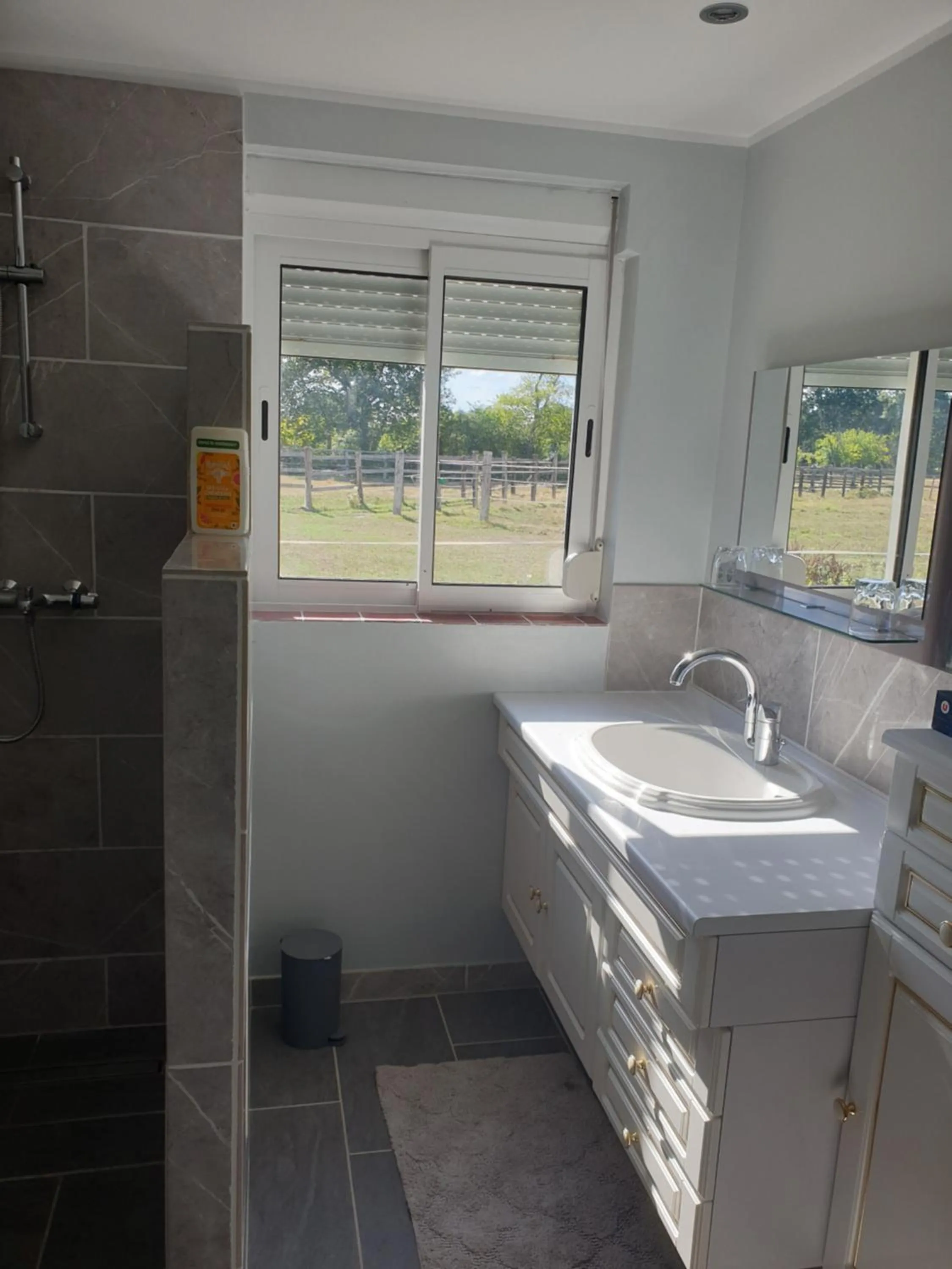 Gîte et Chambre d'hôte de l'élevage du Lattay