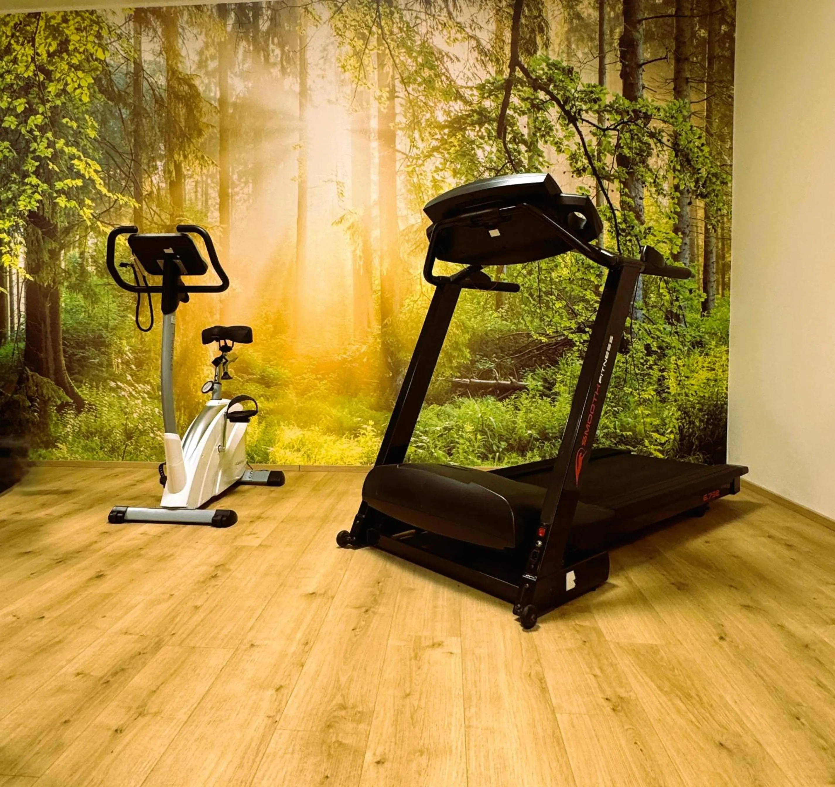Fitness centre/facilities in Der Marienhof Hotel Garni