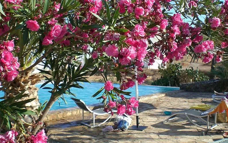 Garden view in Cortijo Torreblanca Casa Rural Parque Natural Cabo de Gata