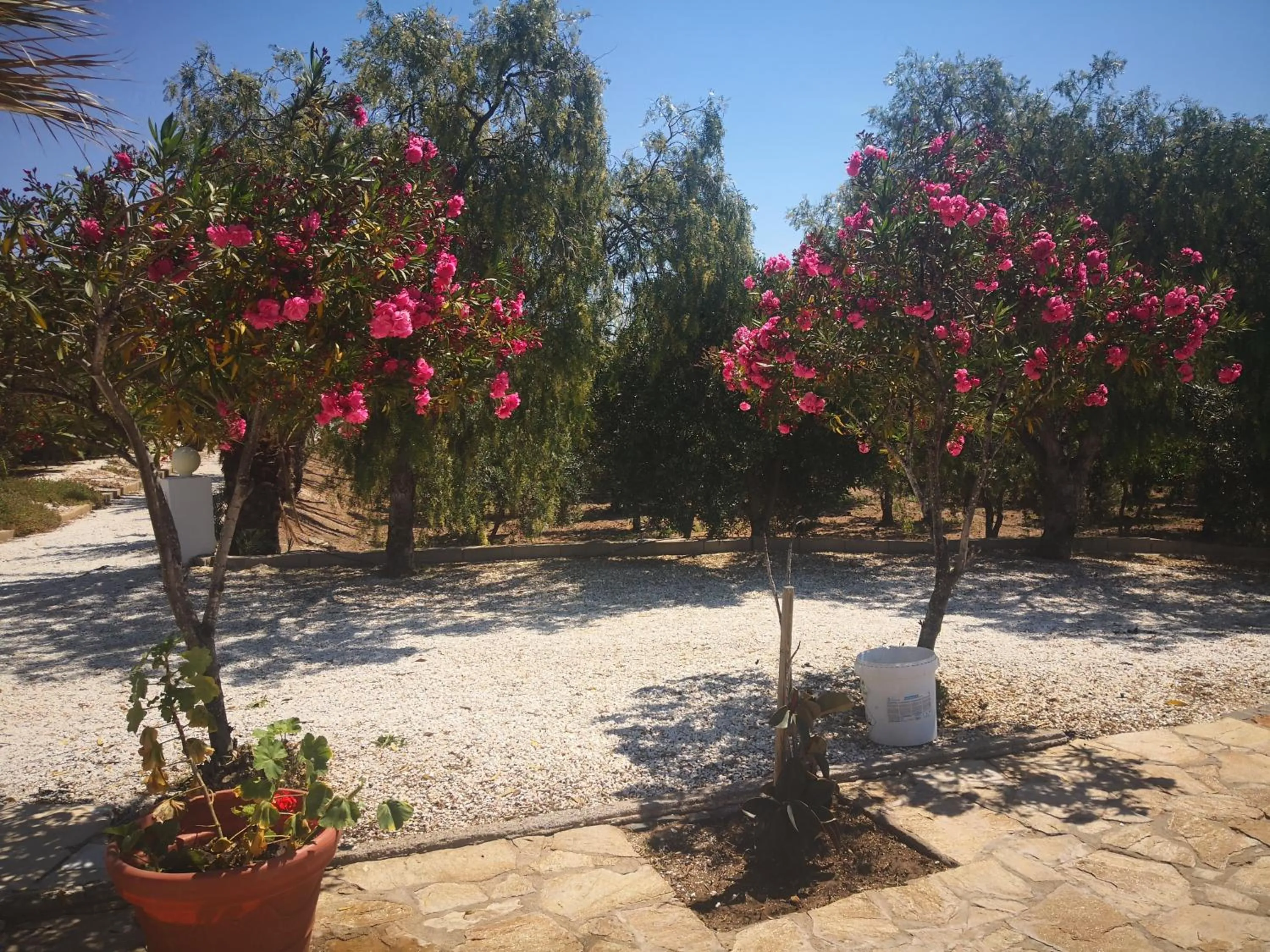 Cortijo Torreblanca Casa Rural Parque Natural Cabo de Gata