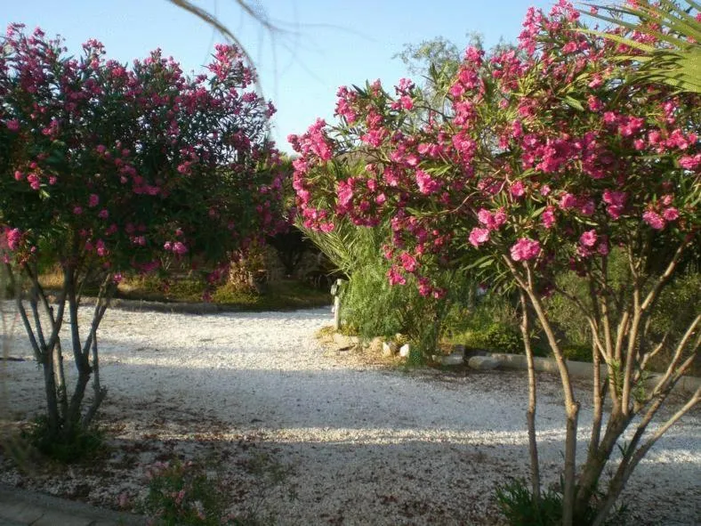 Other in Cortijo Torreblanca Casa Rural Parque Natural Cabo de Gata