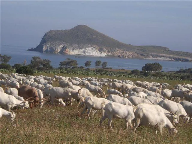 Natural landscape in Cortijo Torreblanca Casa Rural Parque Natural Cabo de Gata