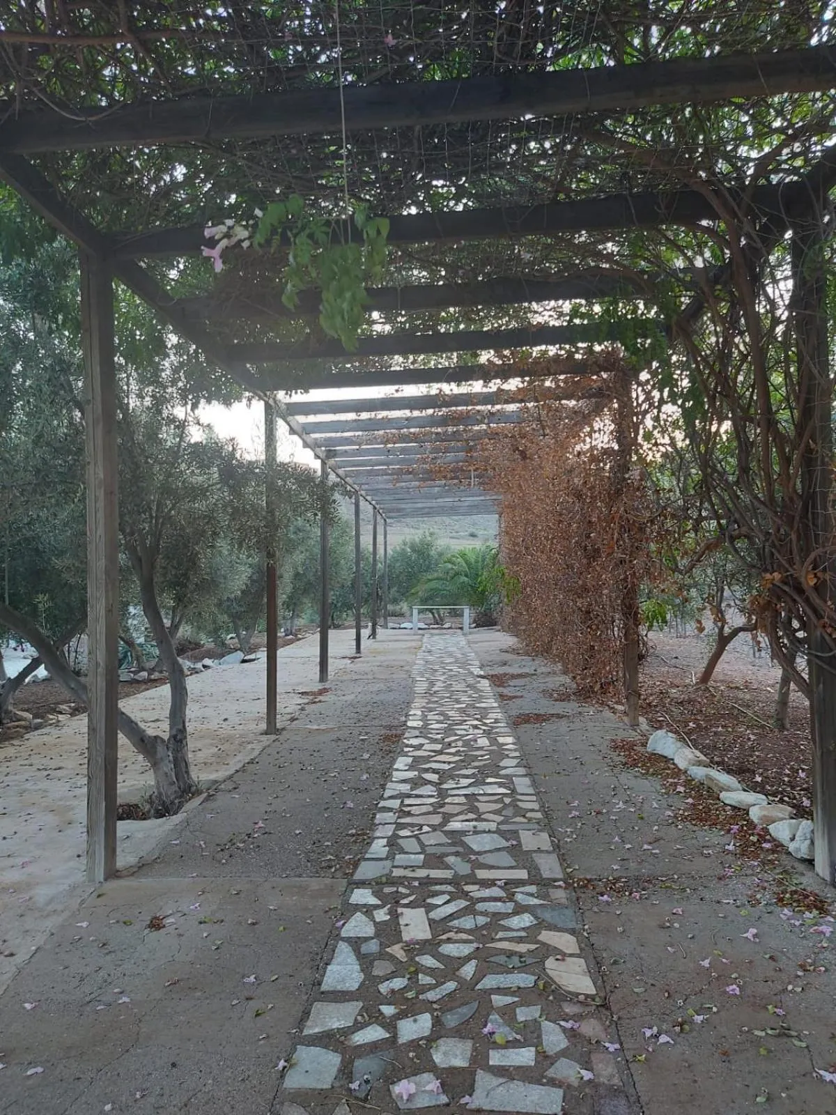 Garden view in Cortijo Torreblanca Casa Rural Parque Natural Cabo de Gata