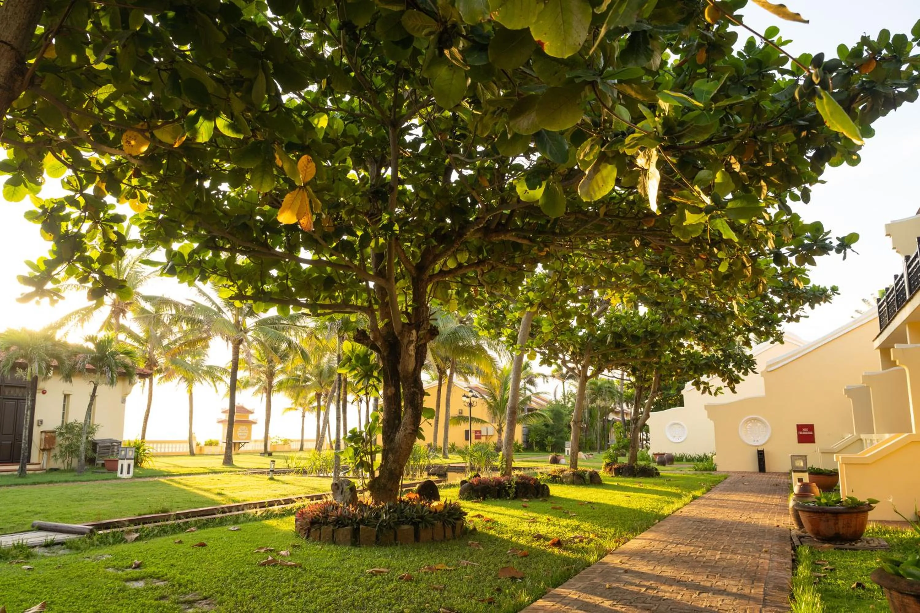 Natural landscape in Victoria Hoi An Beach Resort & Spa
