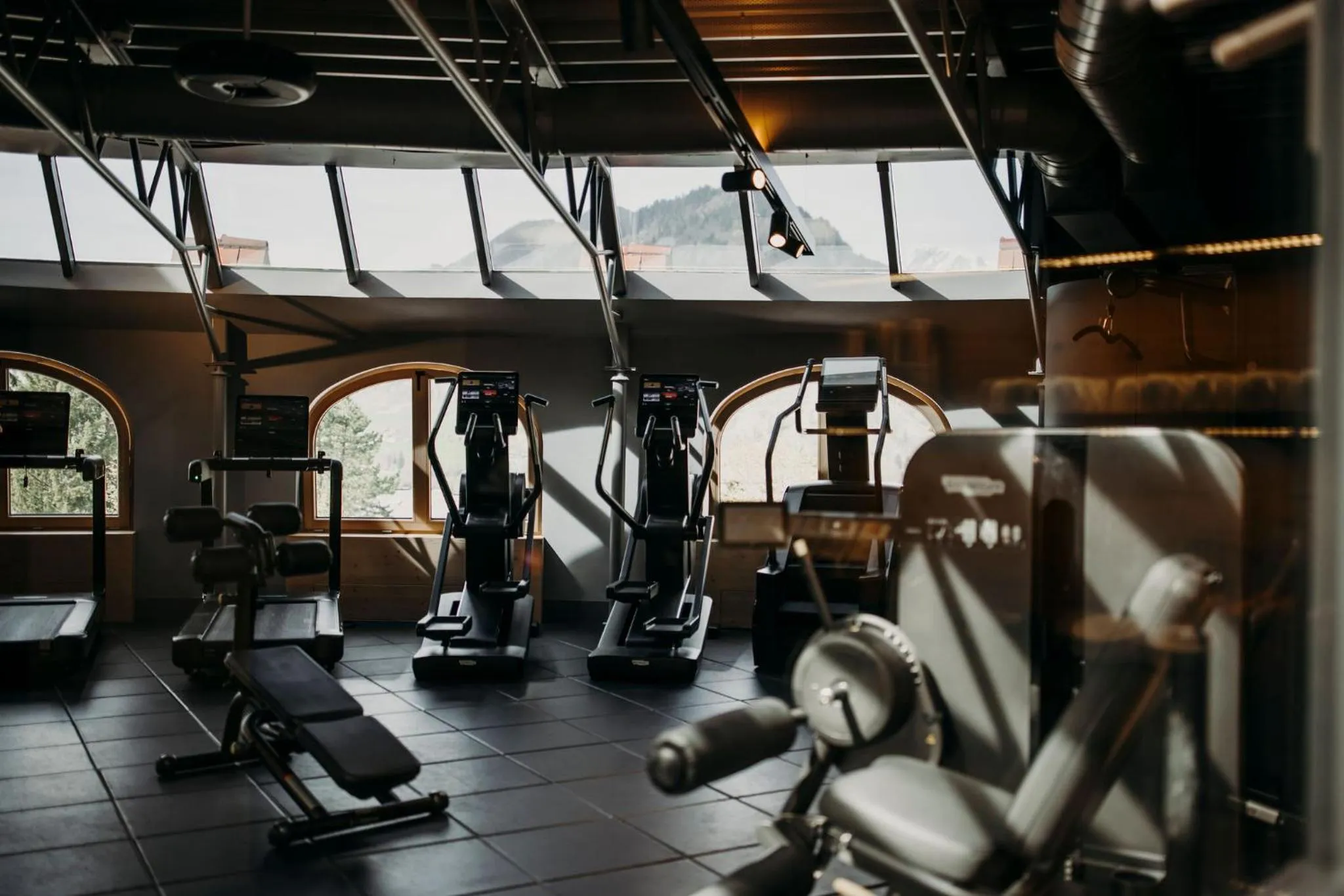 Fitness centre/facilities in Alpina Alpendorf