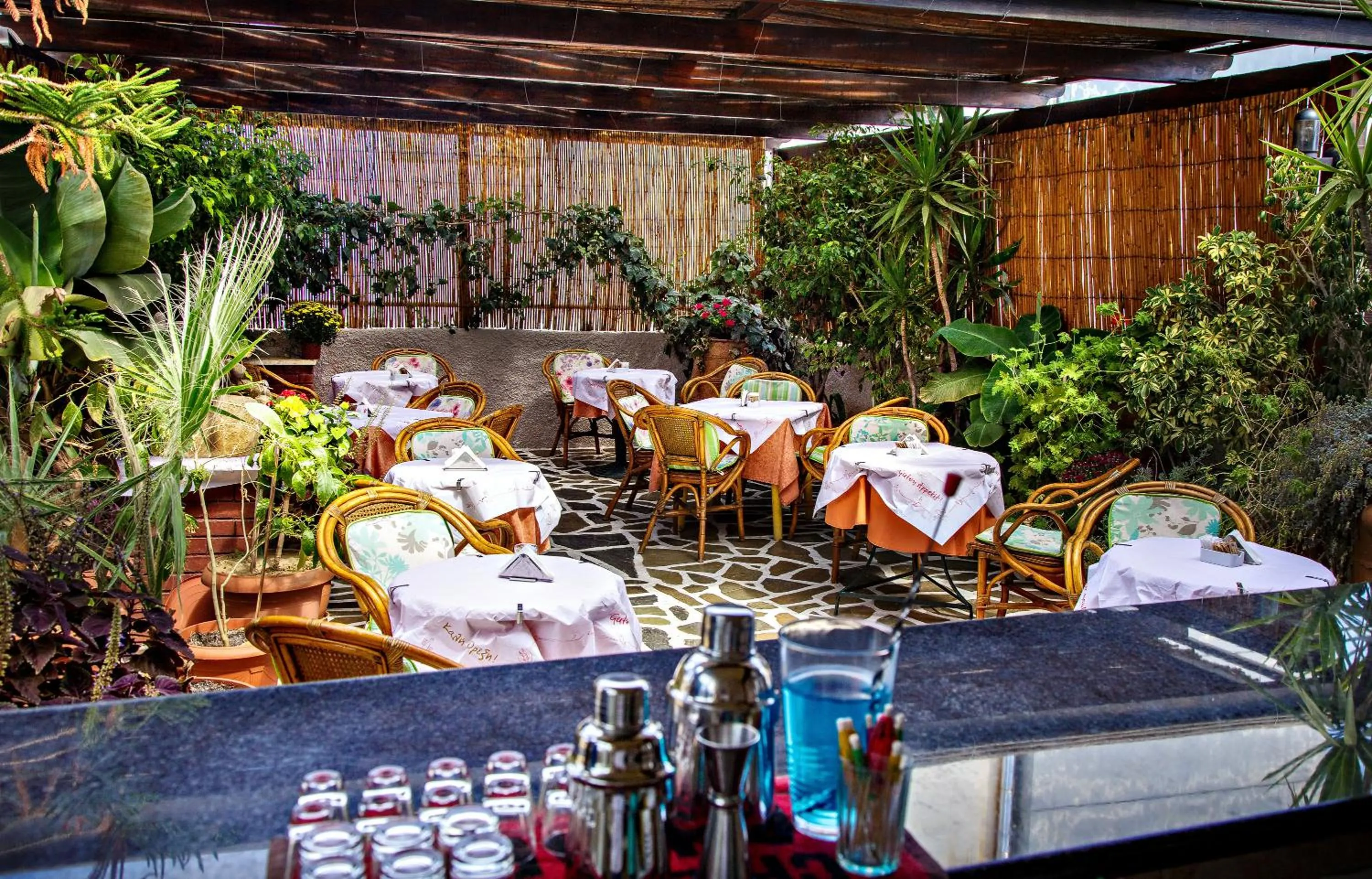 Patio in Hotel Ideon