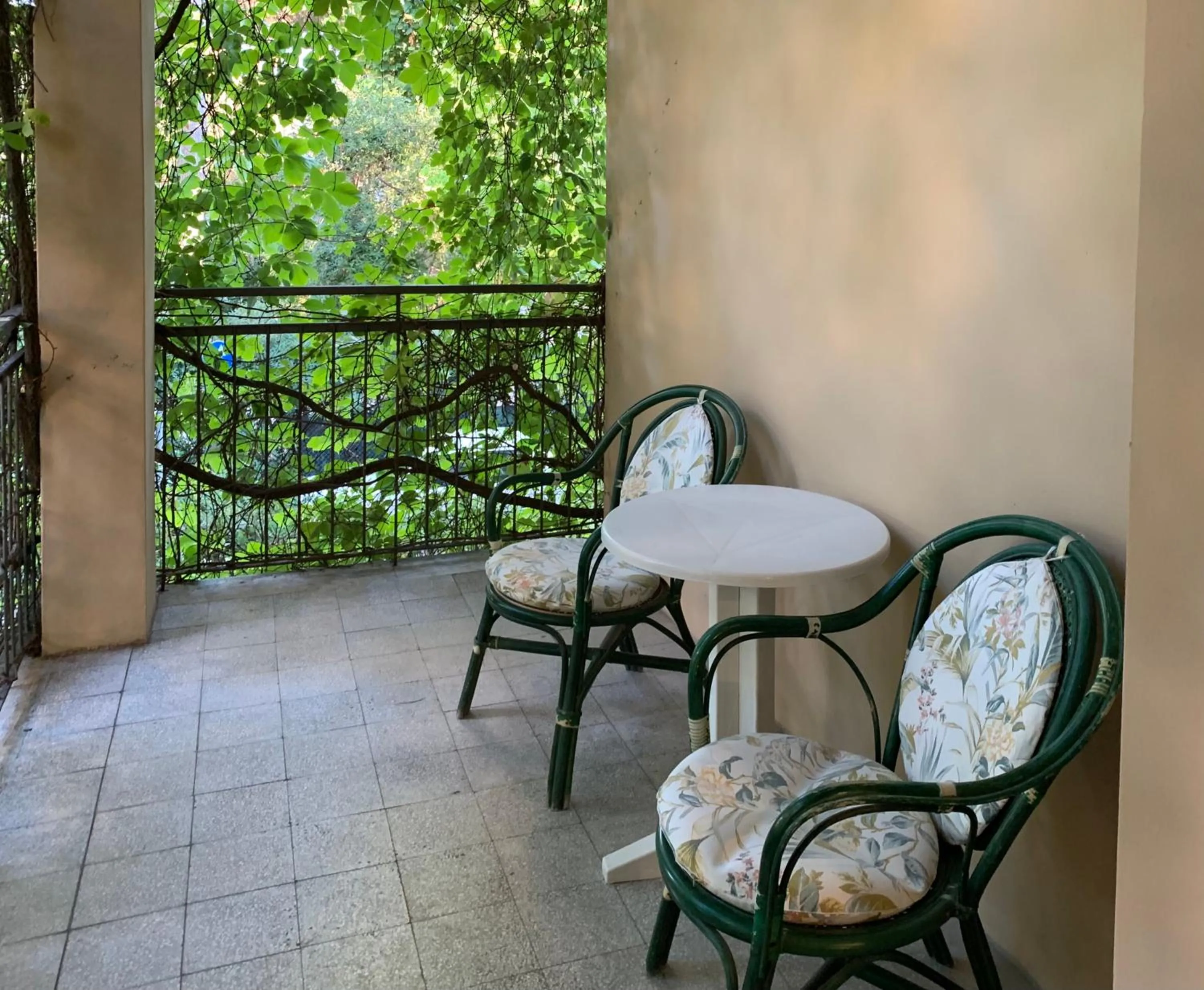 Balcony/Terrace in Hotel Garni Picnic