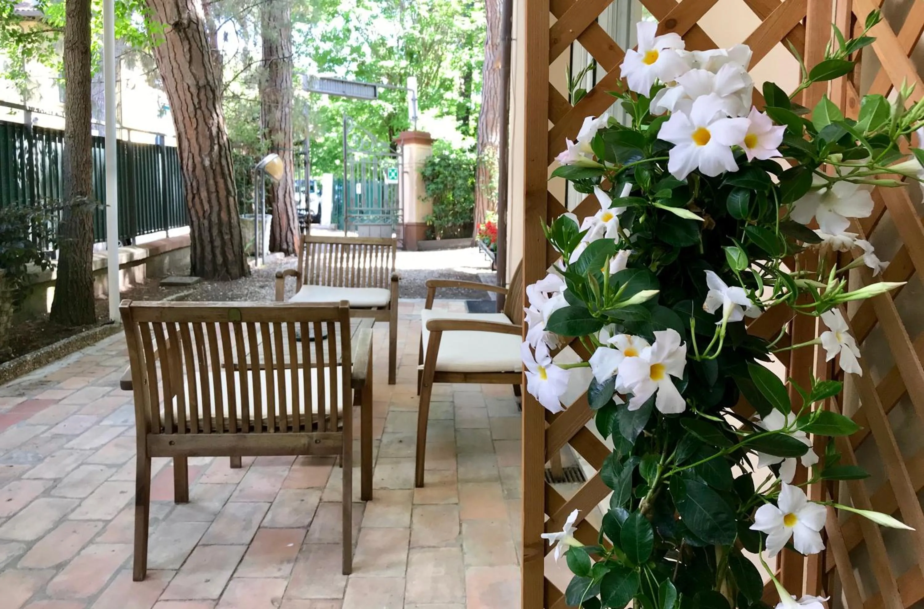 Garden in Hotel Garni Picnic