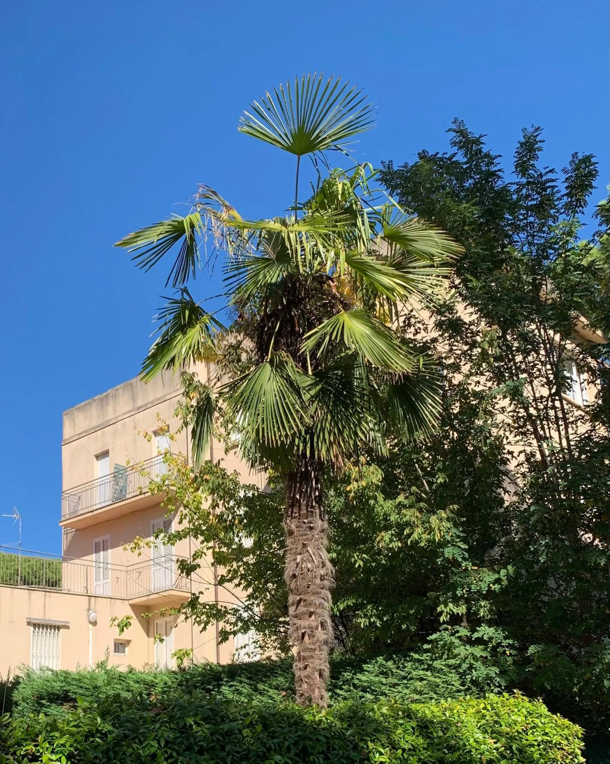 Property building in Hotel Garni Picnic