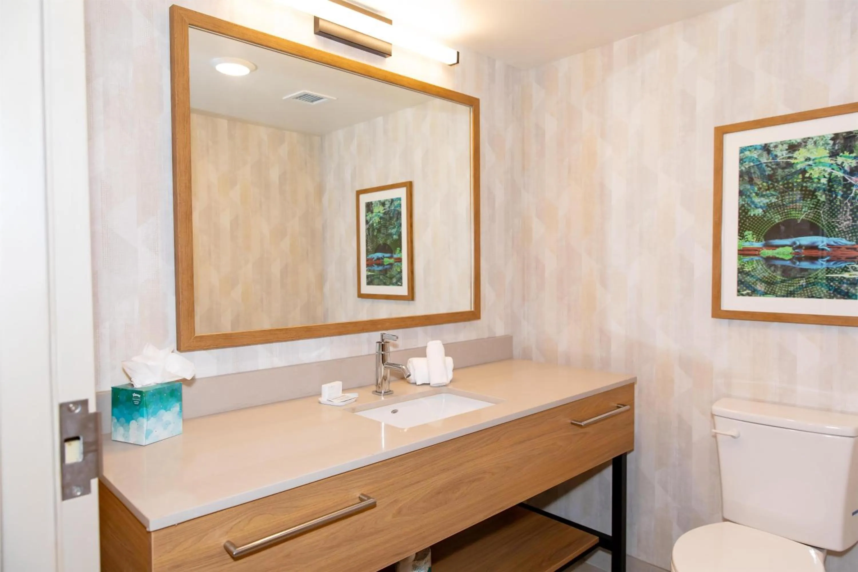 Bathroom in Hampton Inn & Suites Jennings