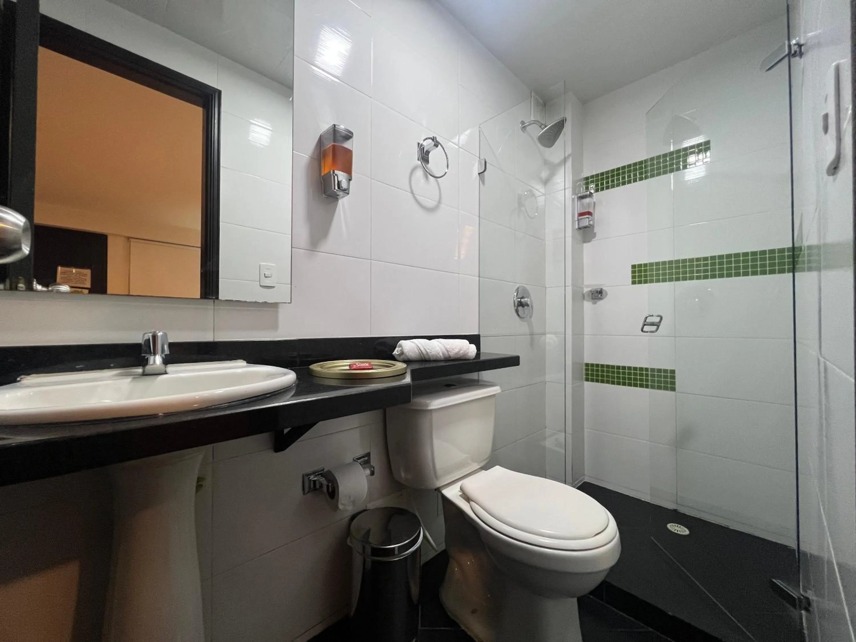 Bathroom in Hotel Ferias Park