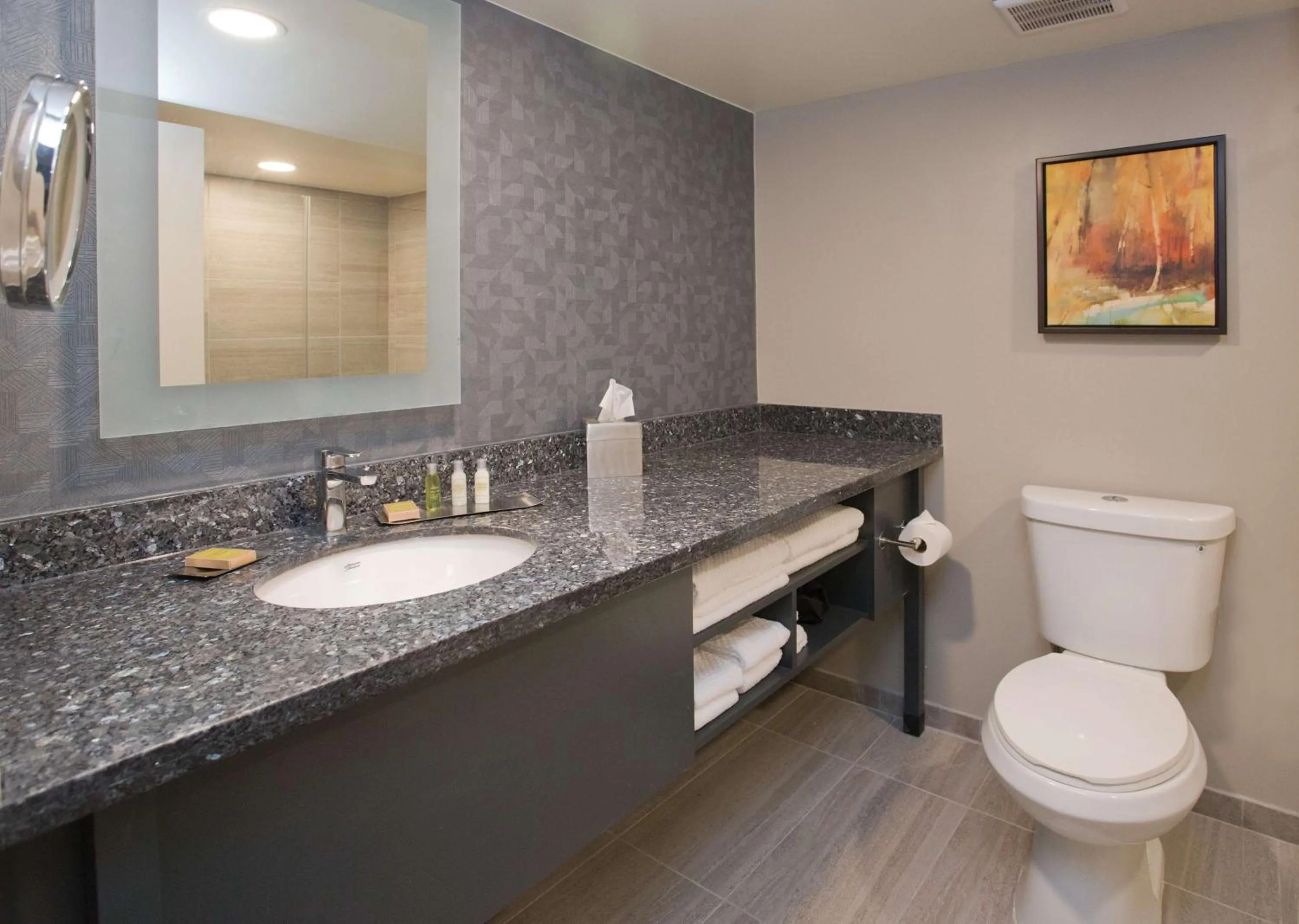 Bathroom in Doubletree By Hilton Chico, Ca