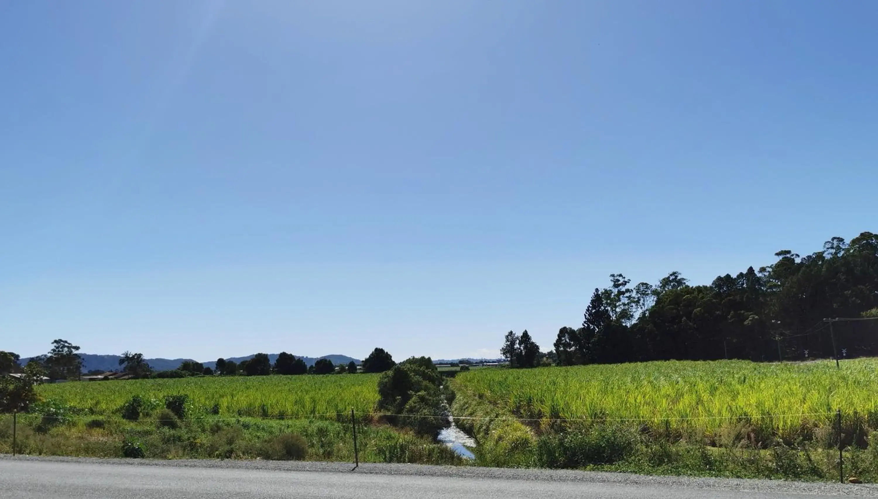 Twin Room in Gallery Motel Twin Room in Gallery Motel