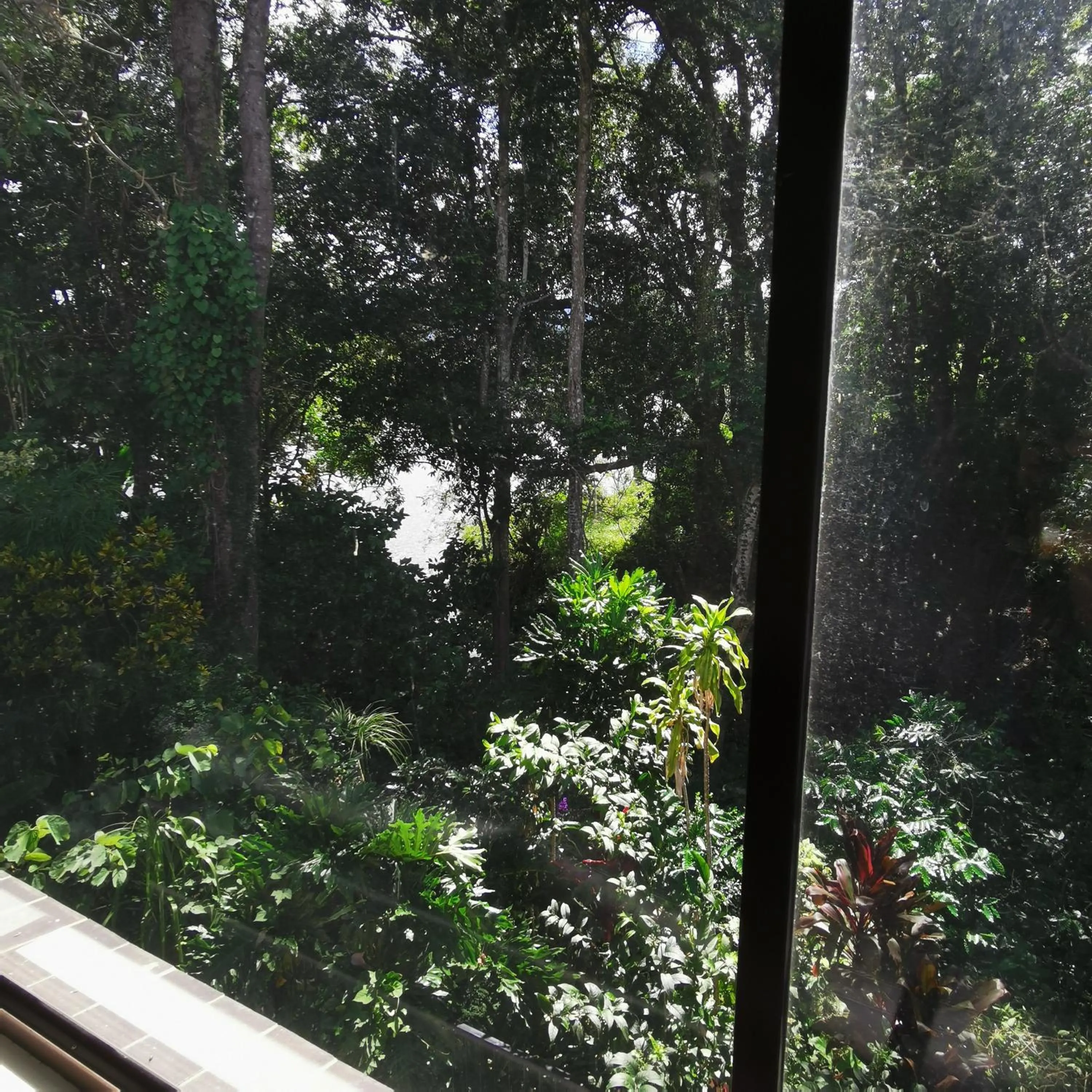 Garden view in Gallery Motel