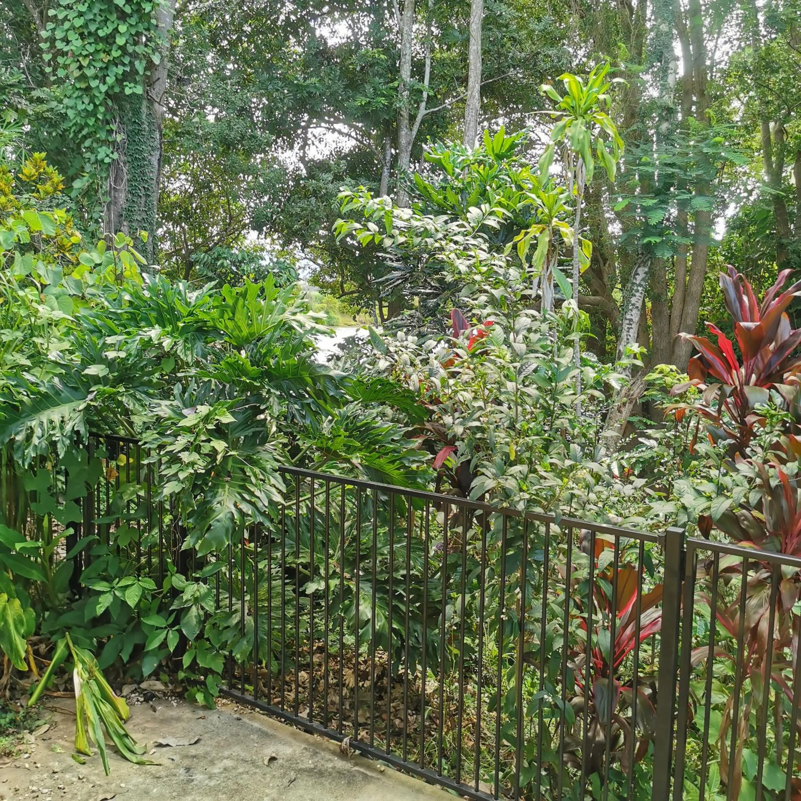 Garden view in Gallery Motel