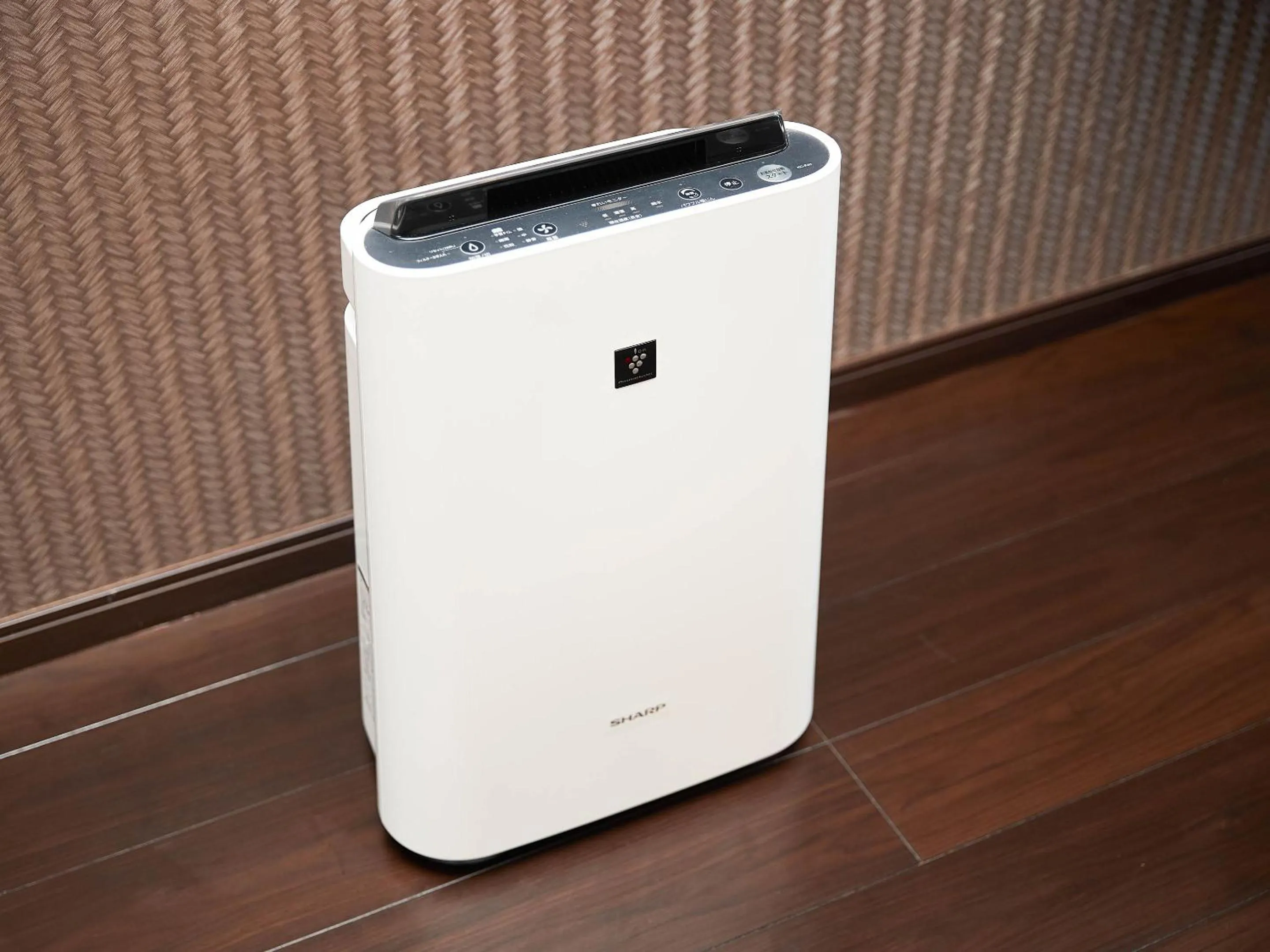 Photo of the whole room in Terrace Resort Shintoshin