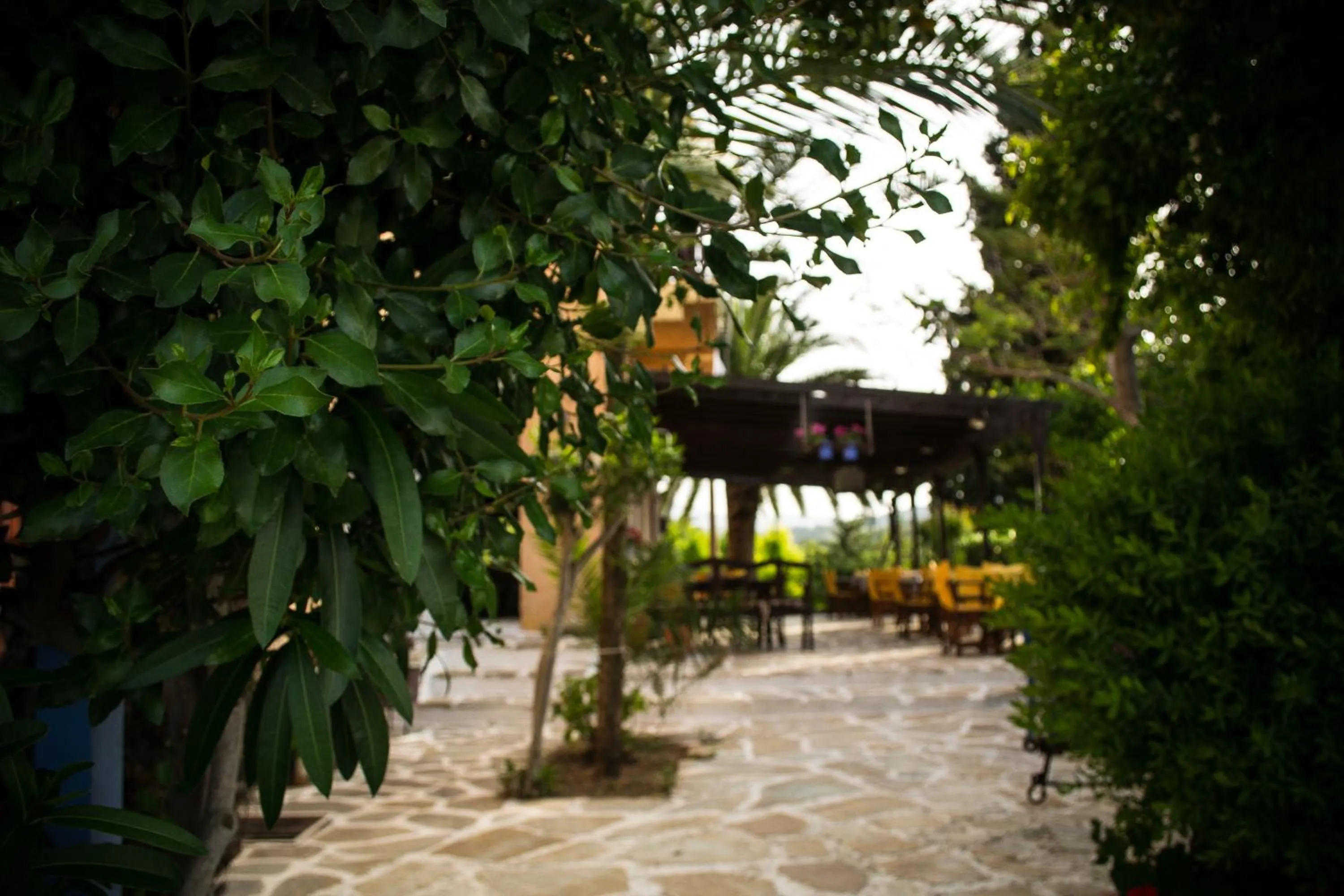Patio in Vagia Traditional, Aegina Island