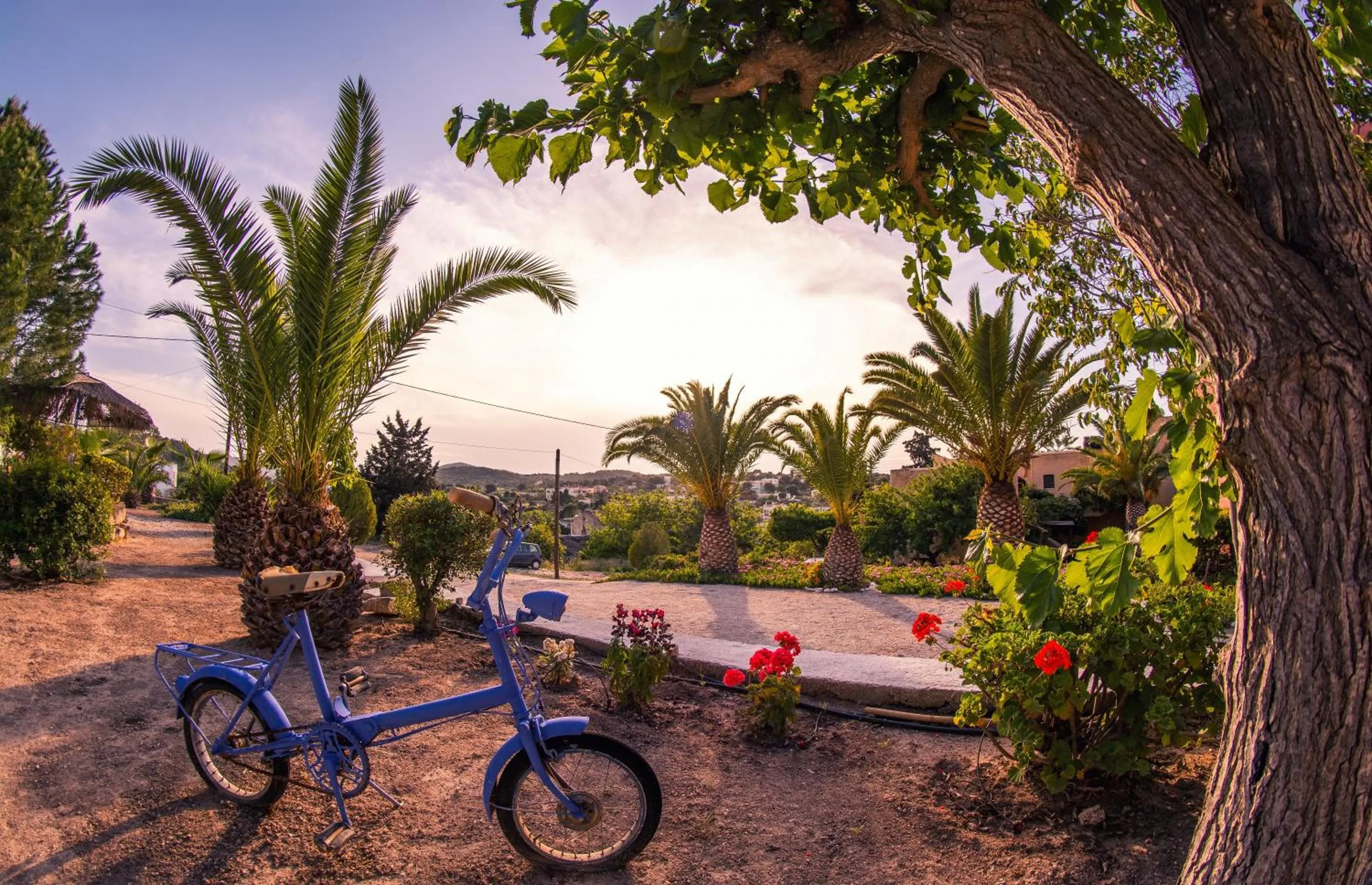 Patio in Vagia Traditional, Aegina Island