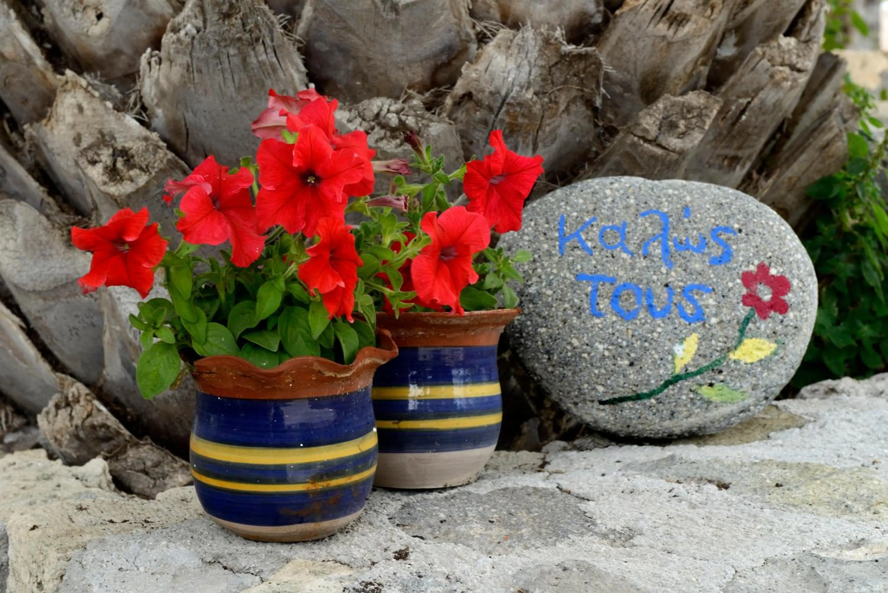 Garden in Vagia Traditional, Aegina Island