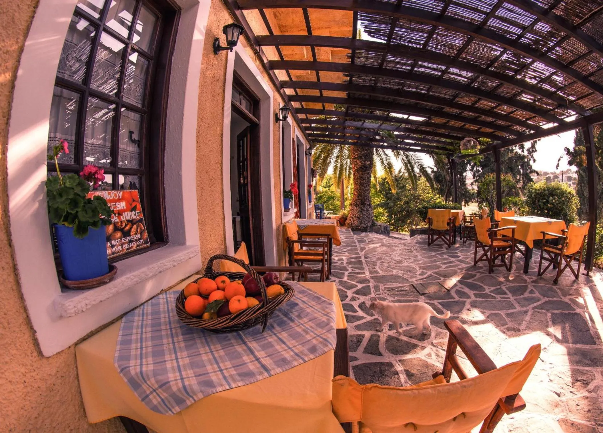 Restaurant/places to eat in Vagia Traditional, Aegina Island