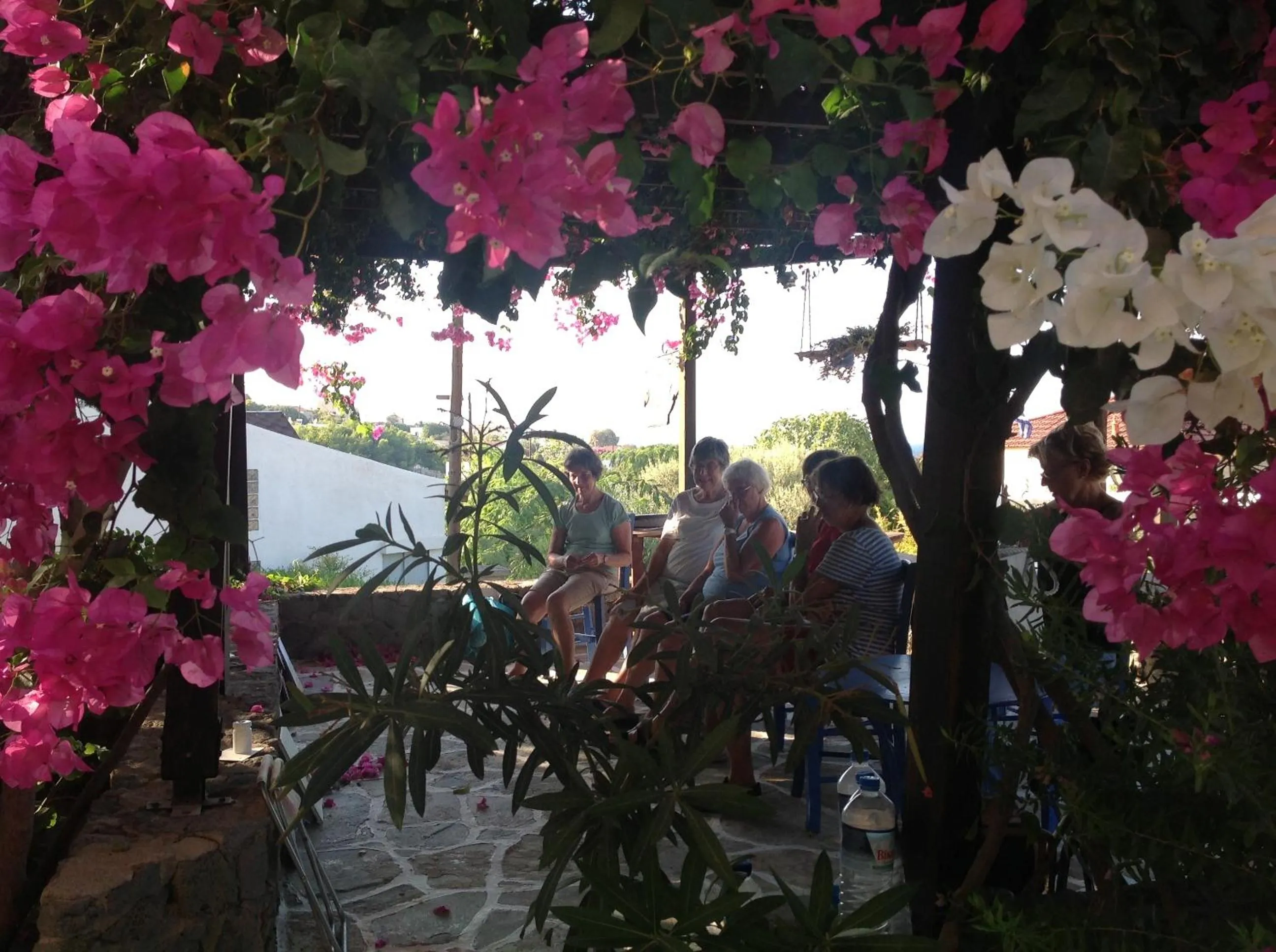 Garden in Vagia Traditional, Aegina Island