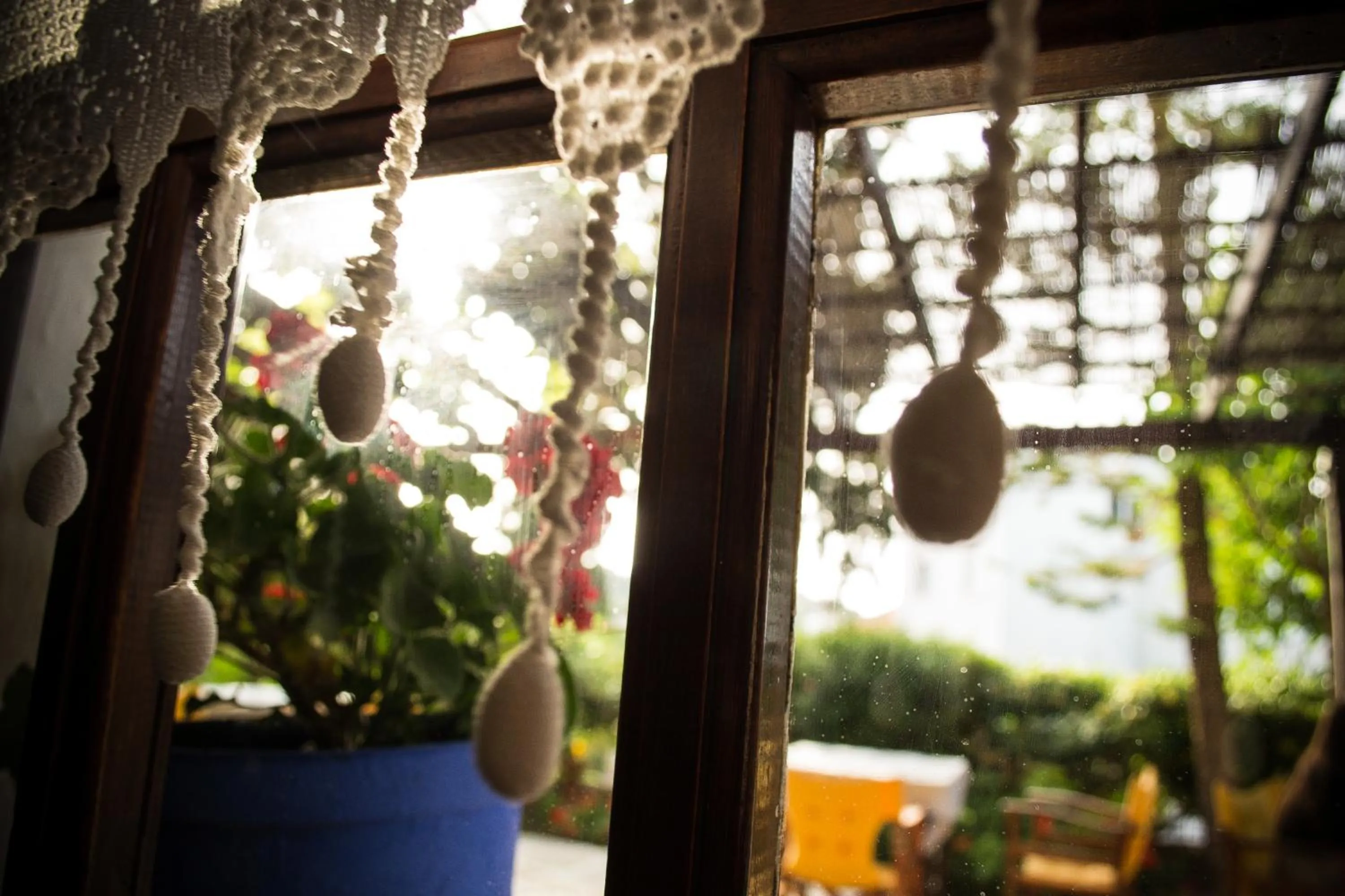 Garden in Vagia Traditional, Aegina Island