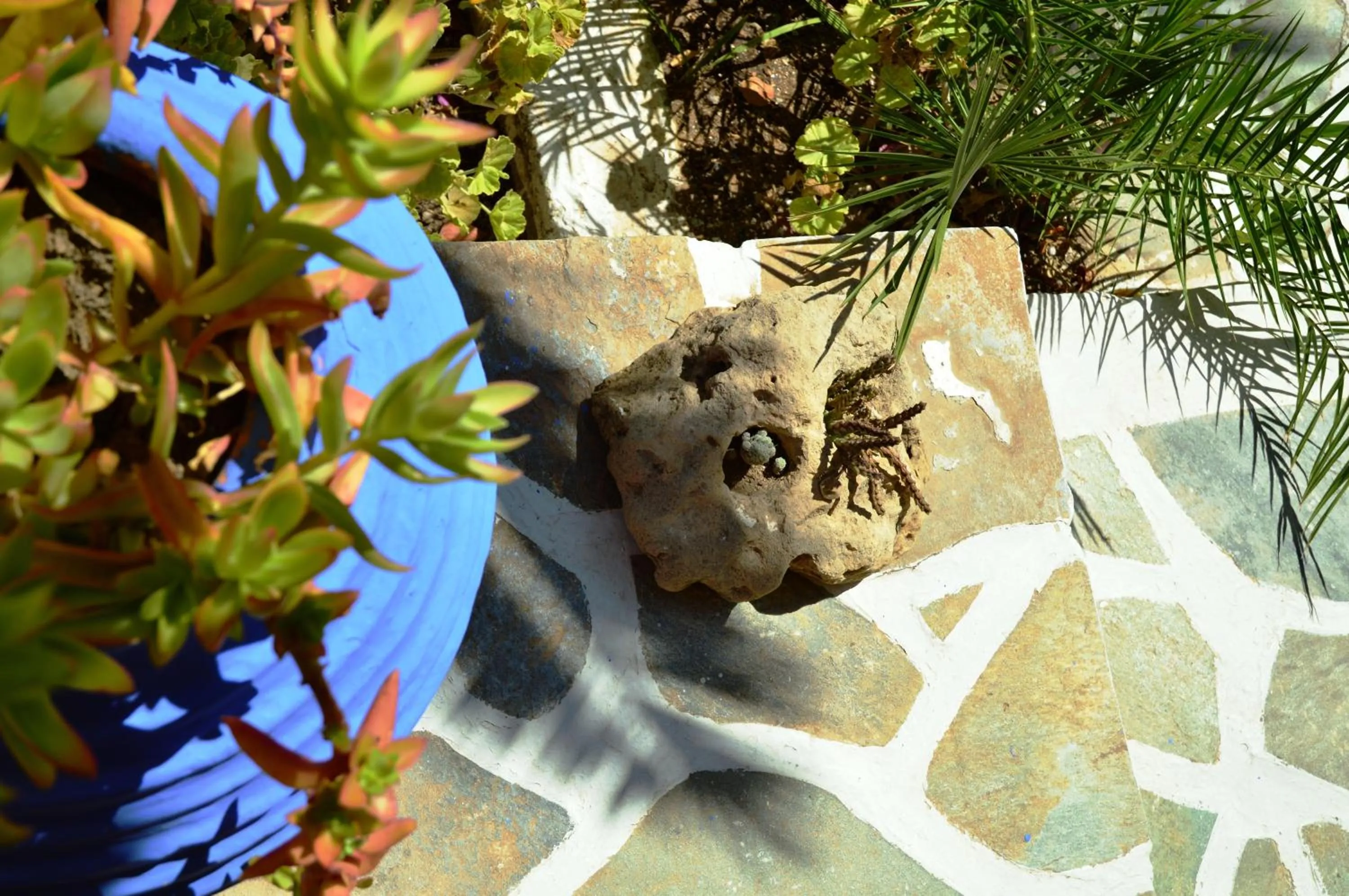 Day in Vagia Traditional, Aegina Island