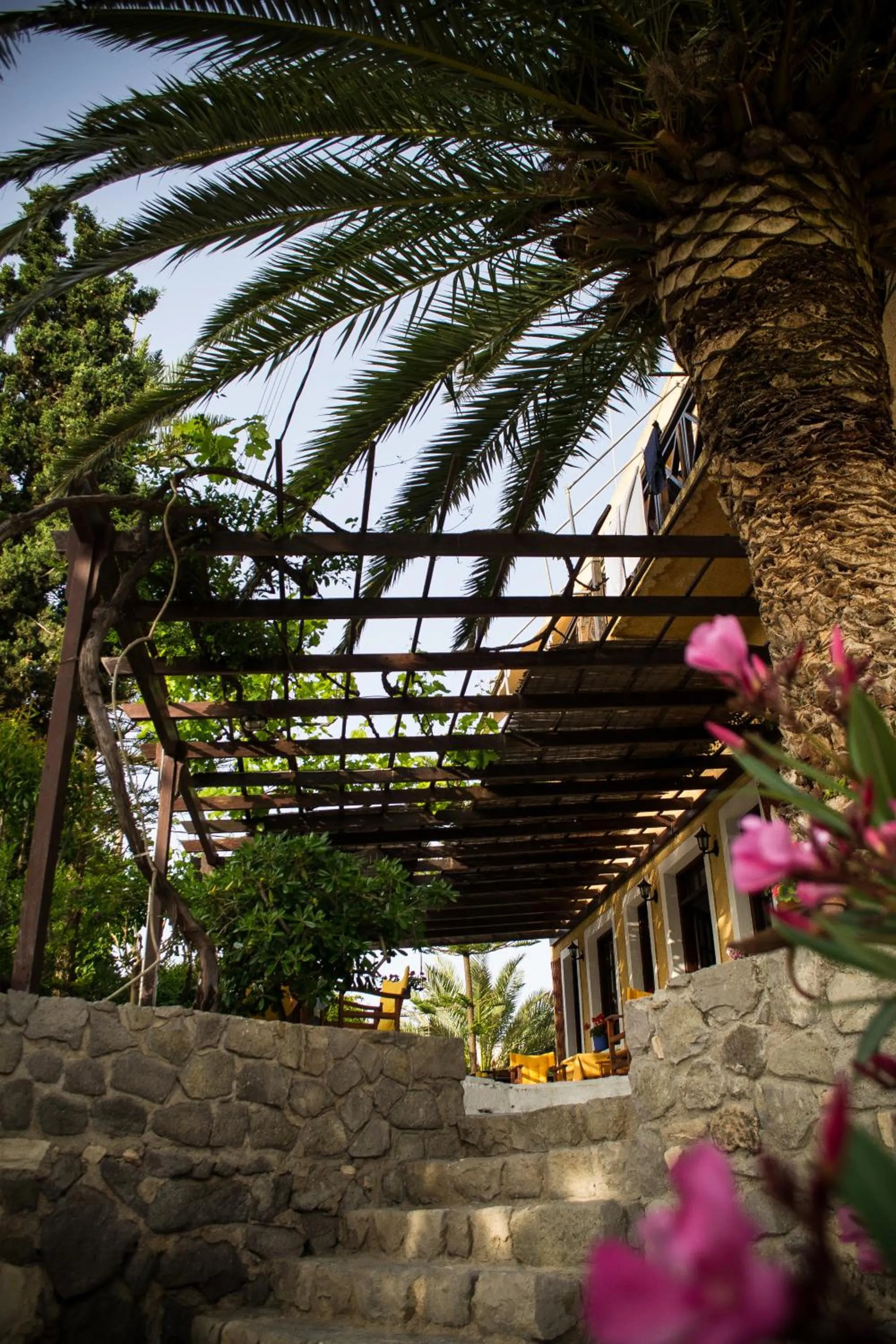 Garden in Vagia Traditional, Aegina Island